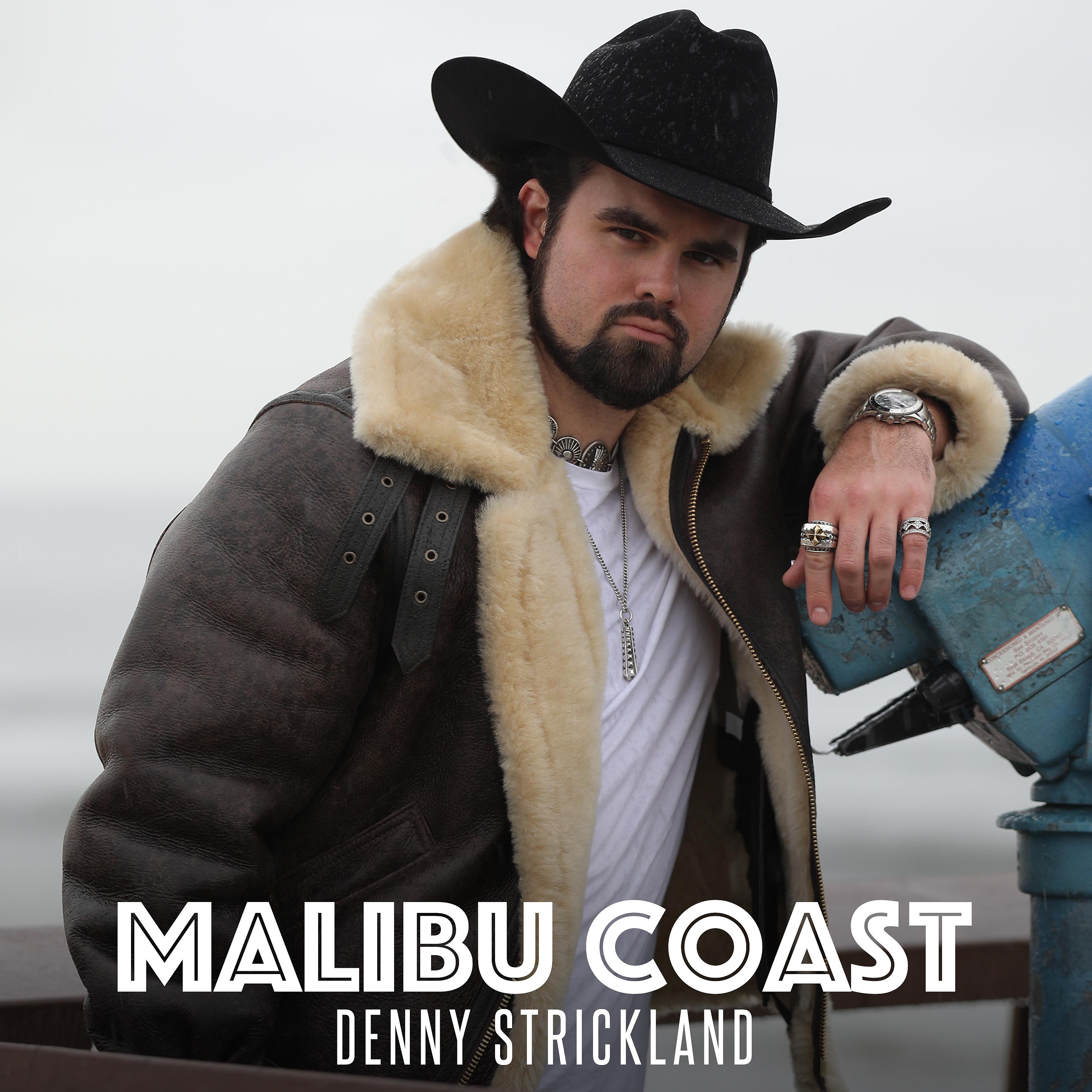 Постер альбома Malibu Coast