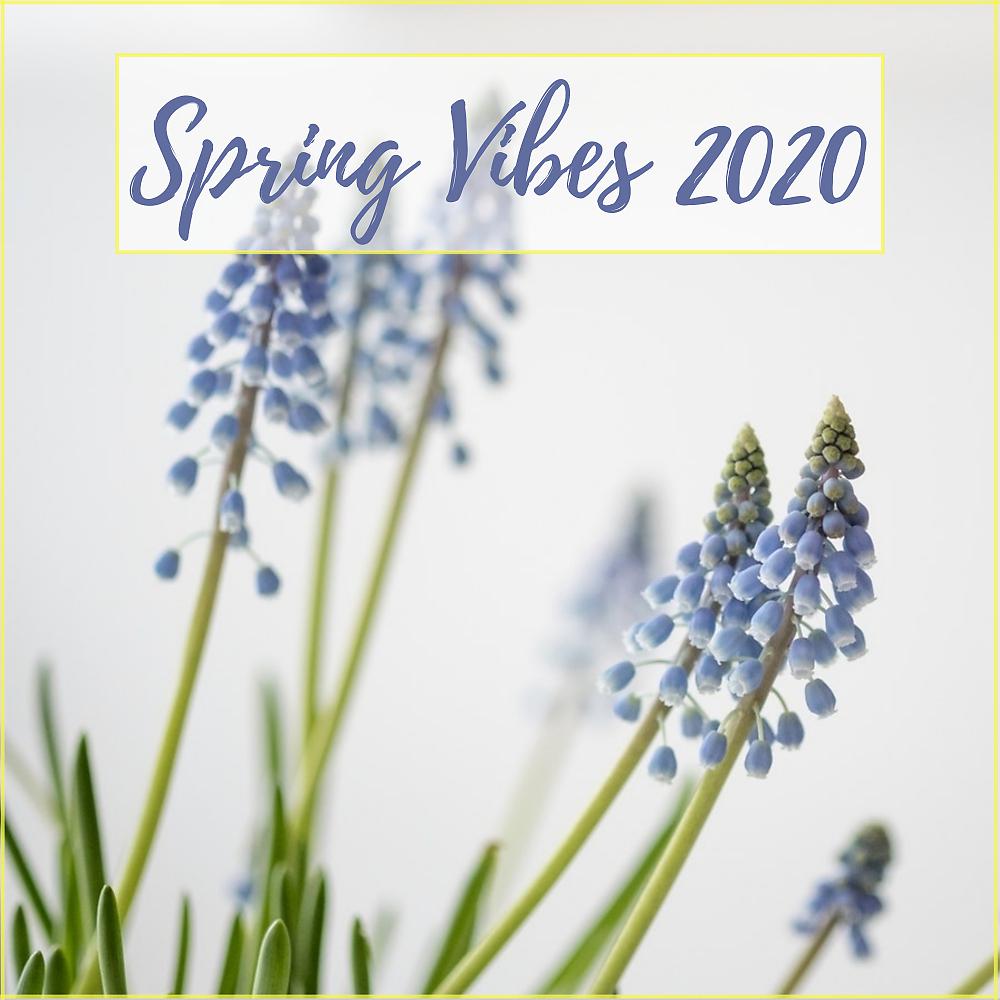 Постер альбома Spring Vibes 2020