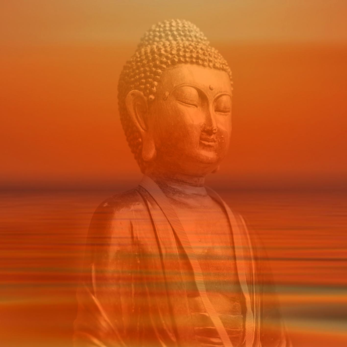 Постер альбома Meditation with Warm Pure Healing Frequencies