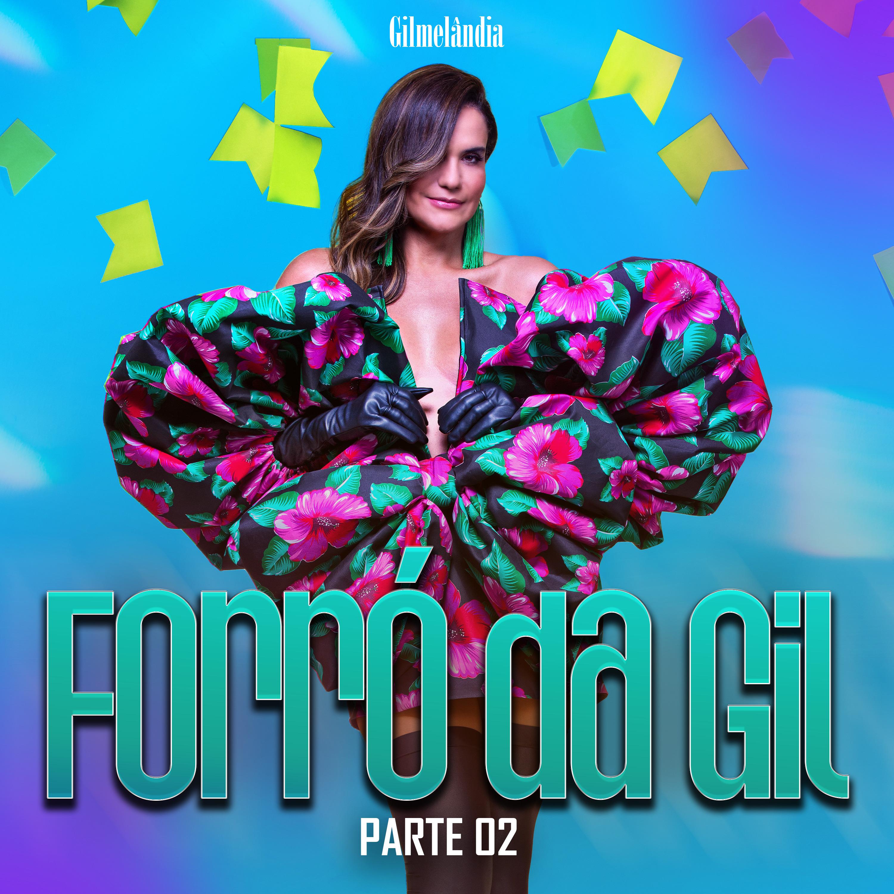 Постер альбома Forró da Gil - Parte 02