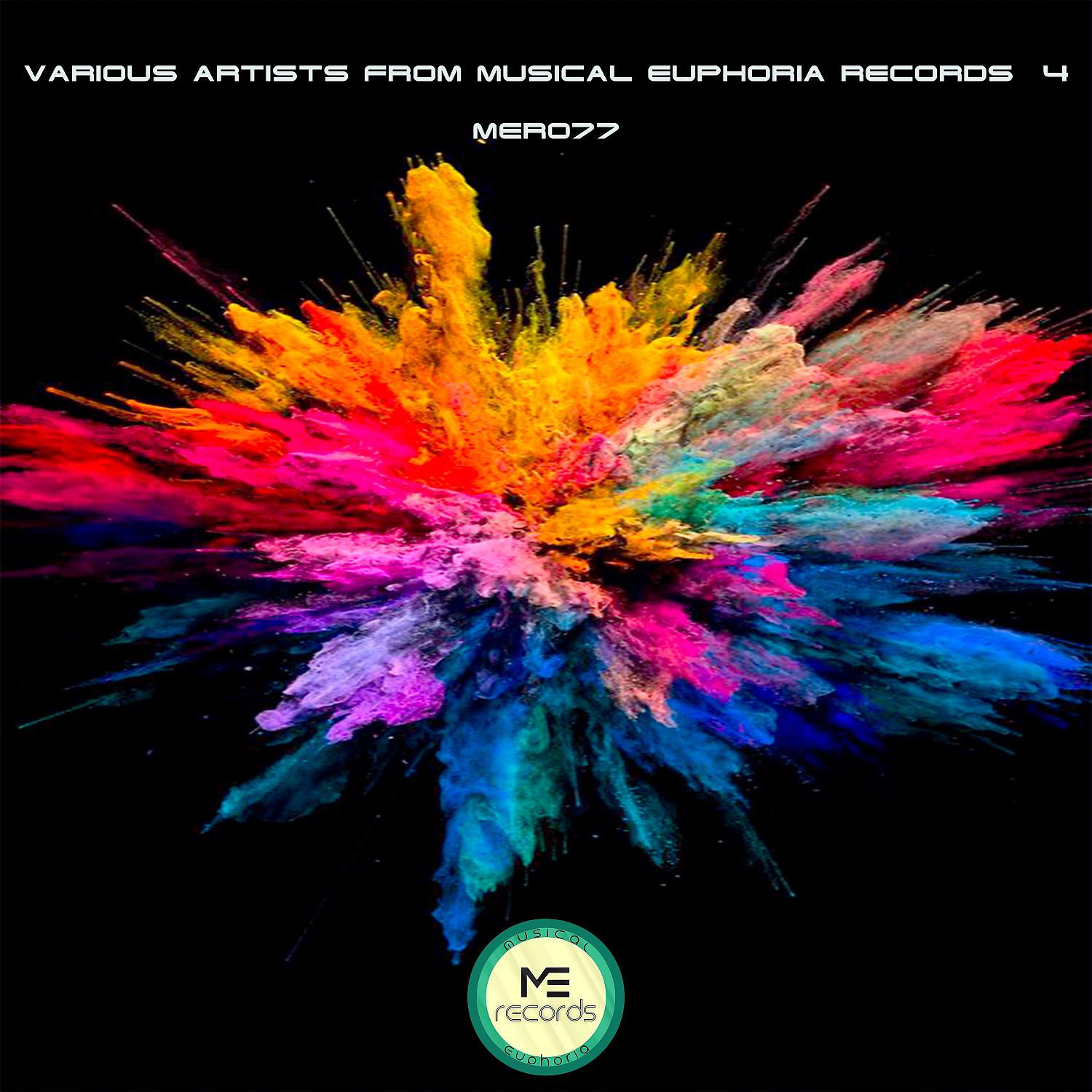 Постер альбома Various Artists from Musical Euphoria Records №4