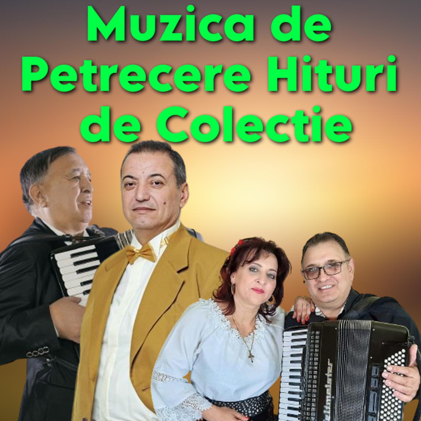 Постер альбома Muzica de Petrecere Hituri de Colectie
