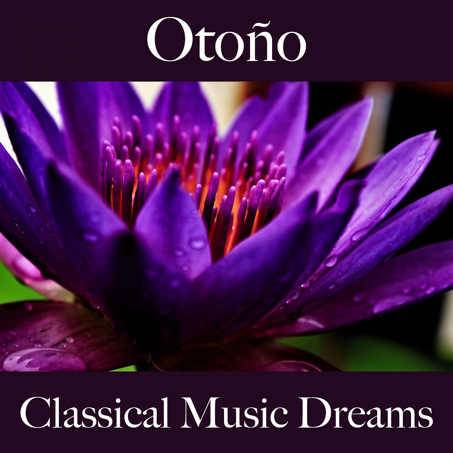 Постер альбома Otoño: Classical Music Dreams - La Mejor Música Para Descansarse