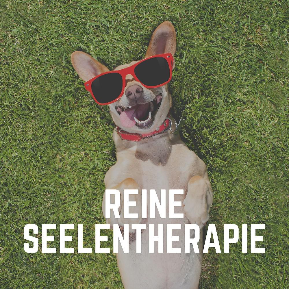 Постер альбома Reine Seelentherapie