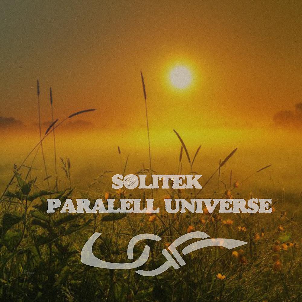 Постер альбома Paralell Universe