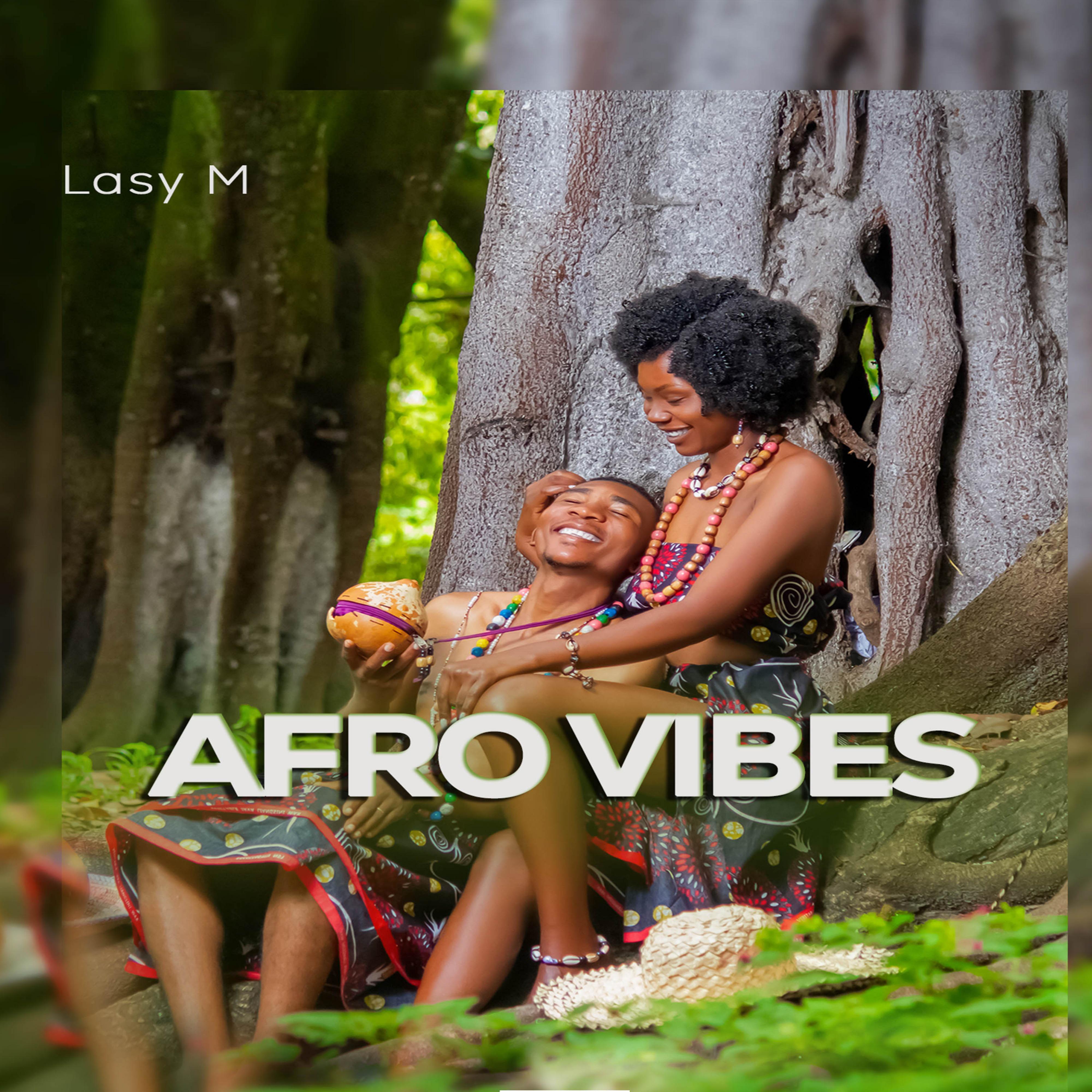 Постер альбома Afro Vibes (feat. Camoma Musick)