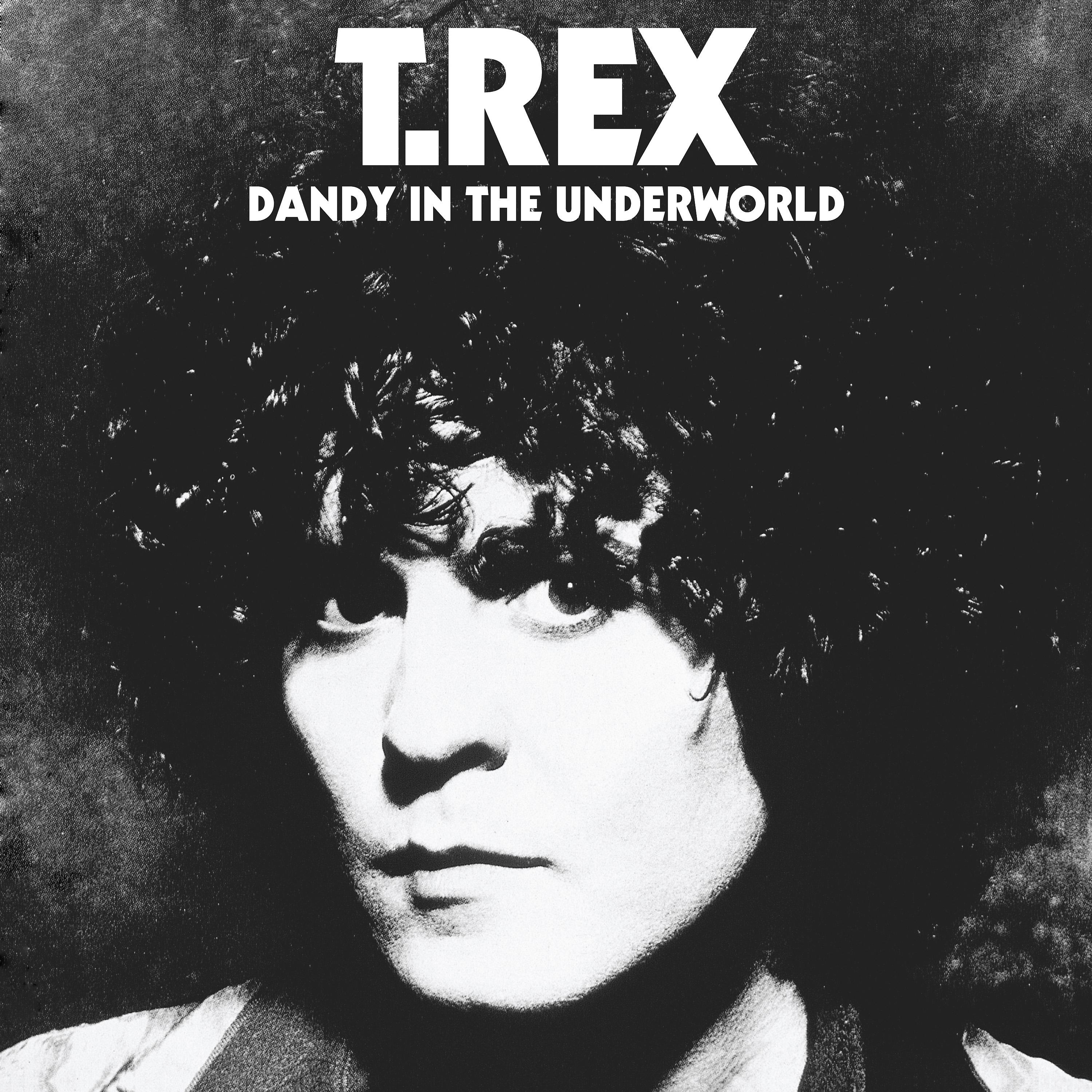 Постер альбома Dandy in the Underworld (Super Deluxe Edition)