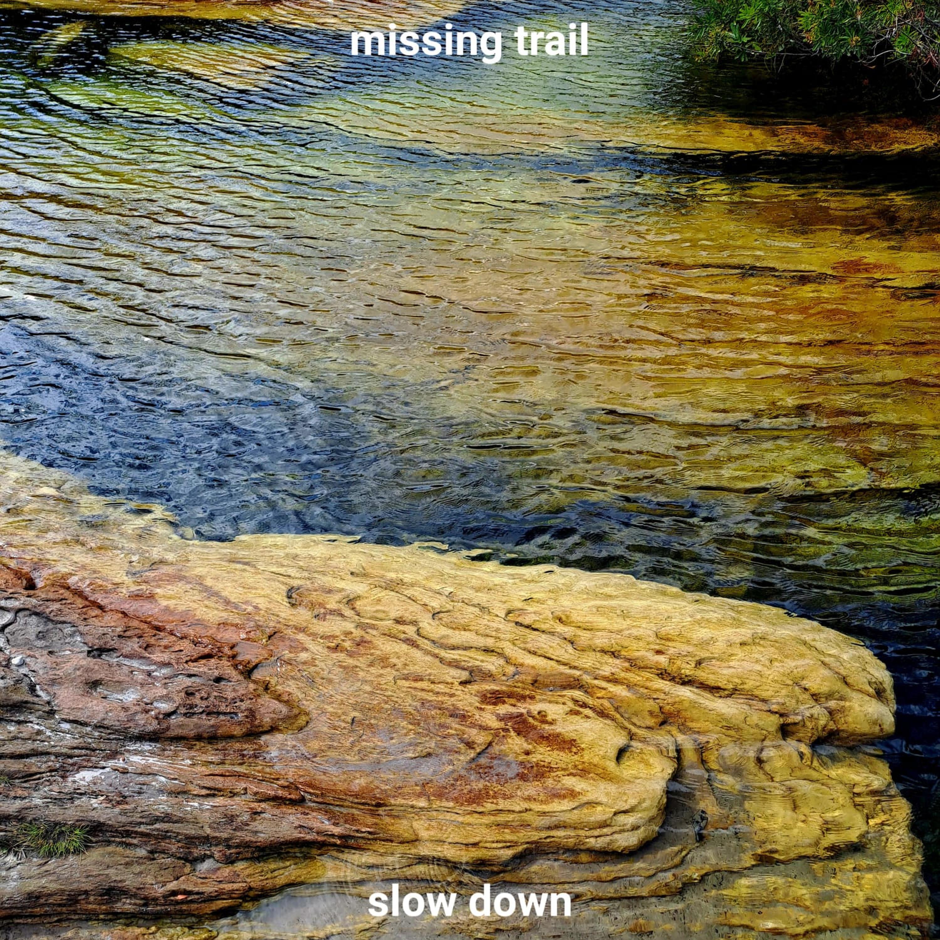 Постер альбома Missing Trail