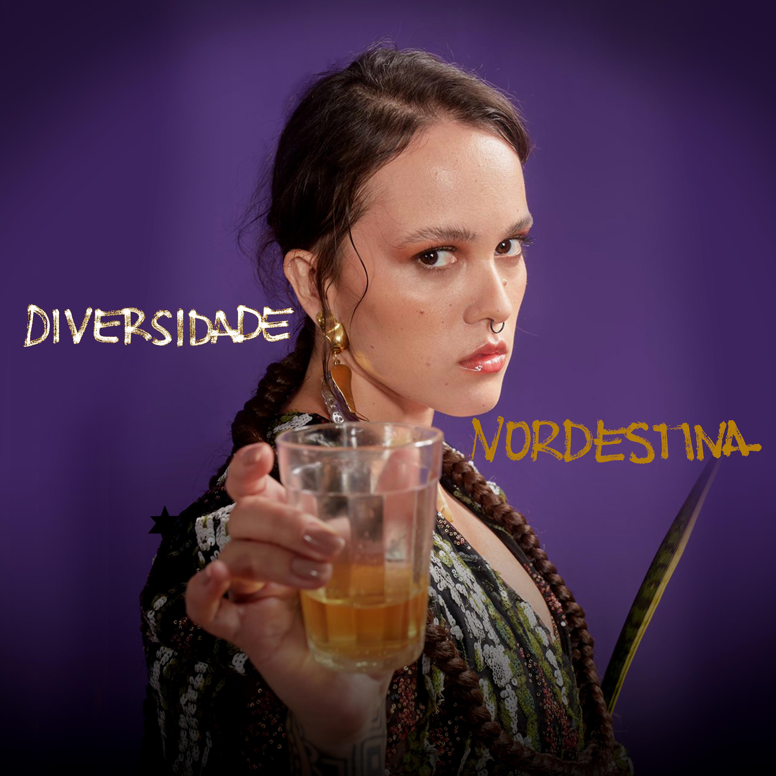 Постер альбома Diversidade Nordestina