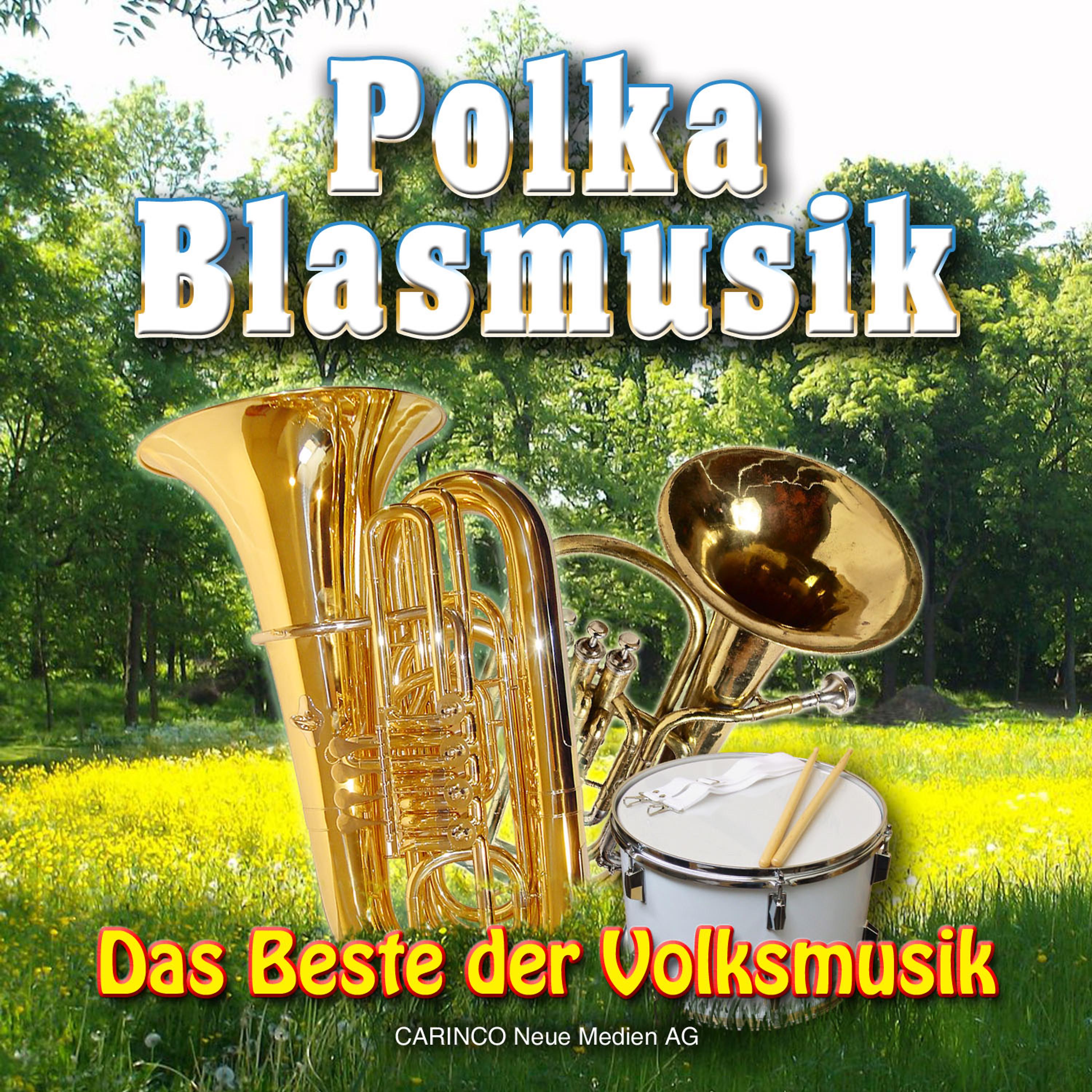 Постер альбома Das Beste Der Volksmusik - Vol. 2: Polka Blasmusik