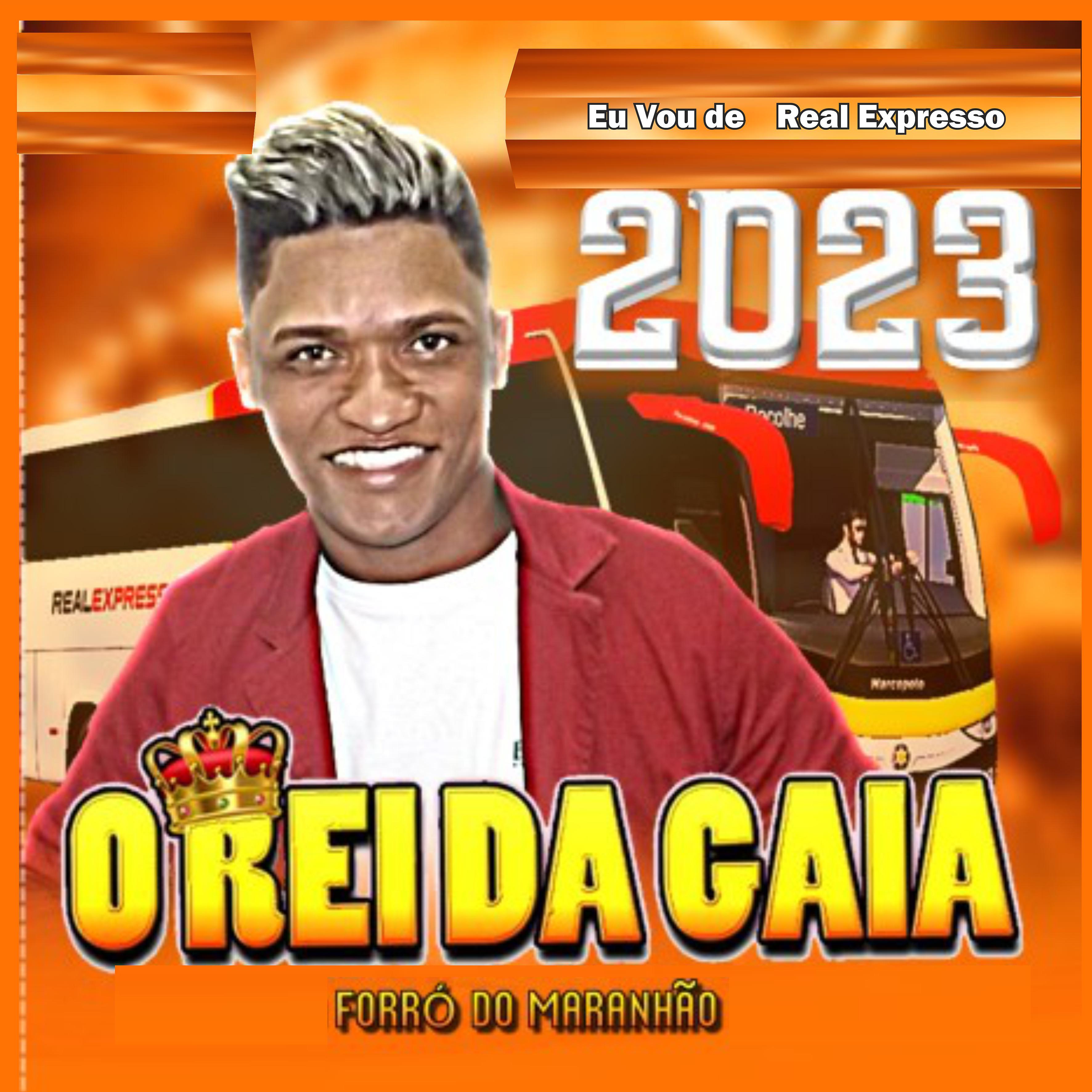 Постер альбома Rei da Gaia Forró do Maranhão 2023