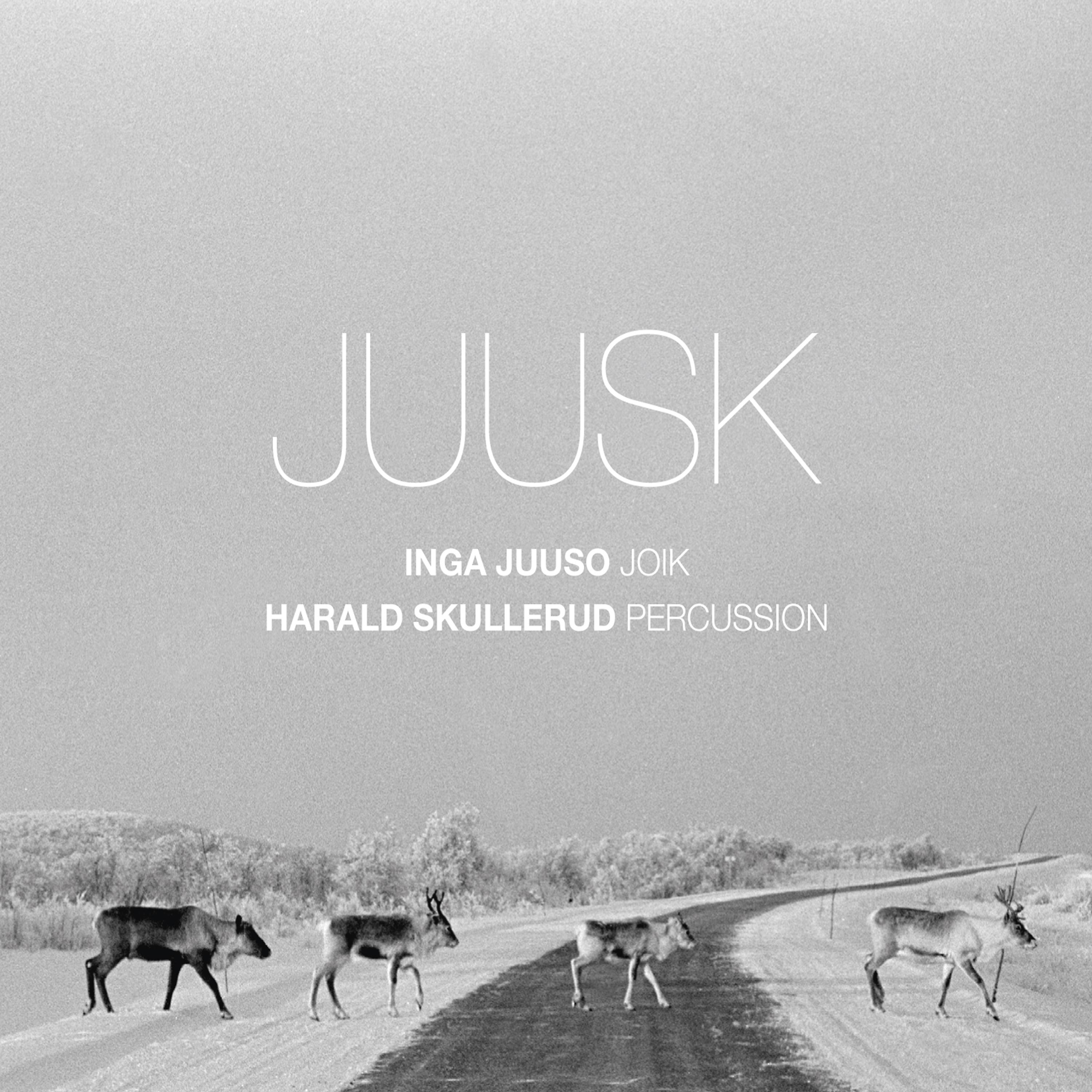 Постер альбома Juusk