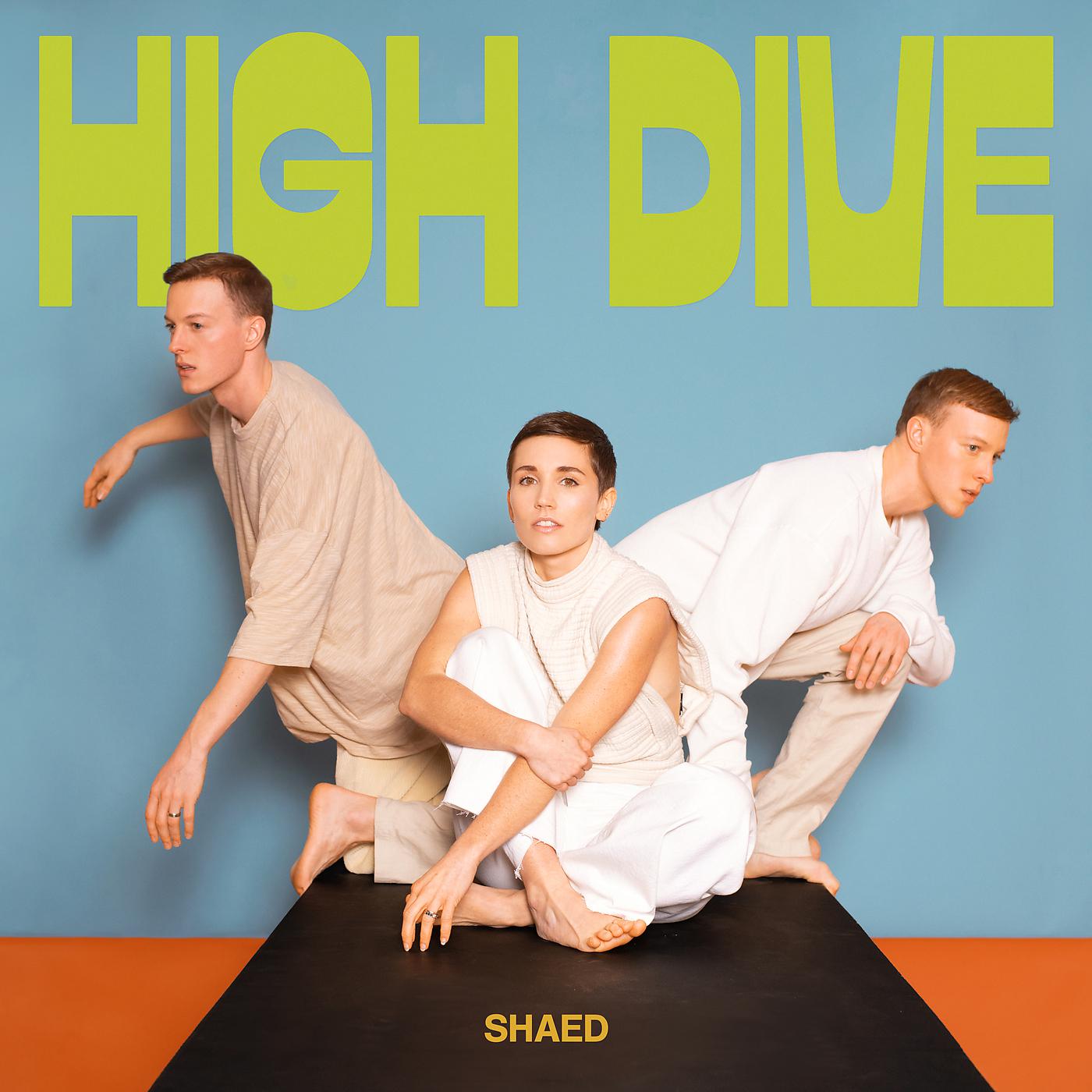 Постер альбома High Dive