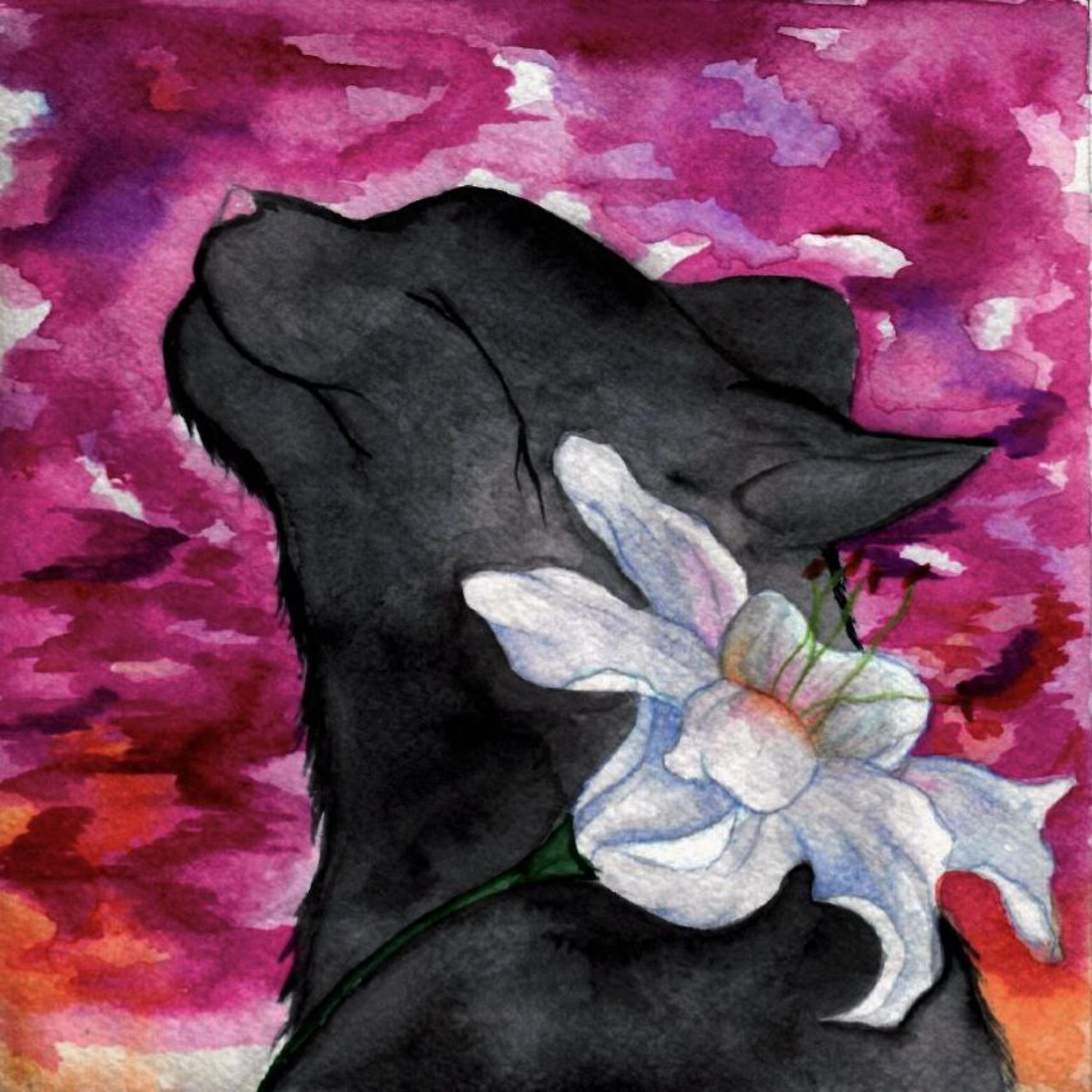 Постер альбома Цветочек