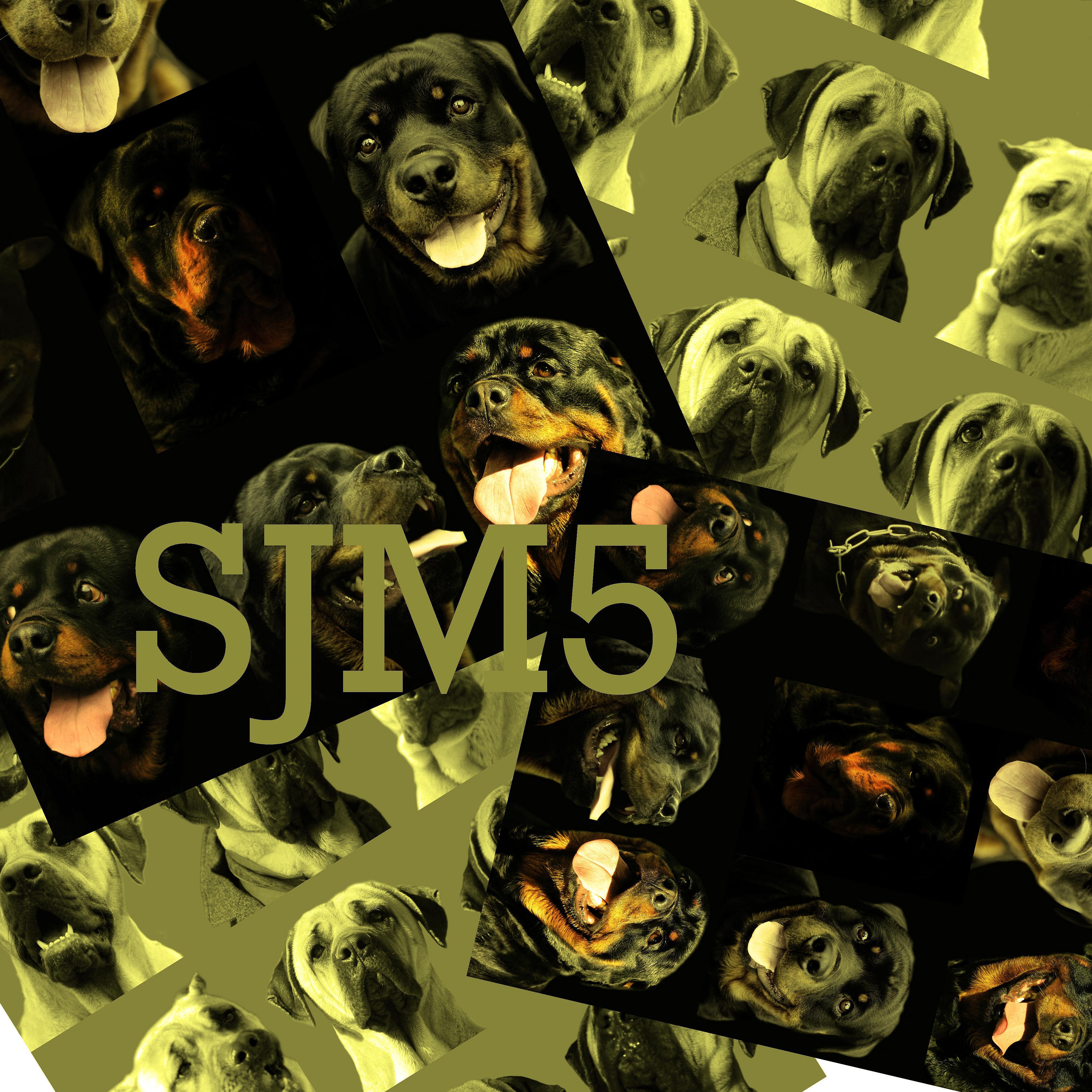 Постер альбома SJM5