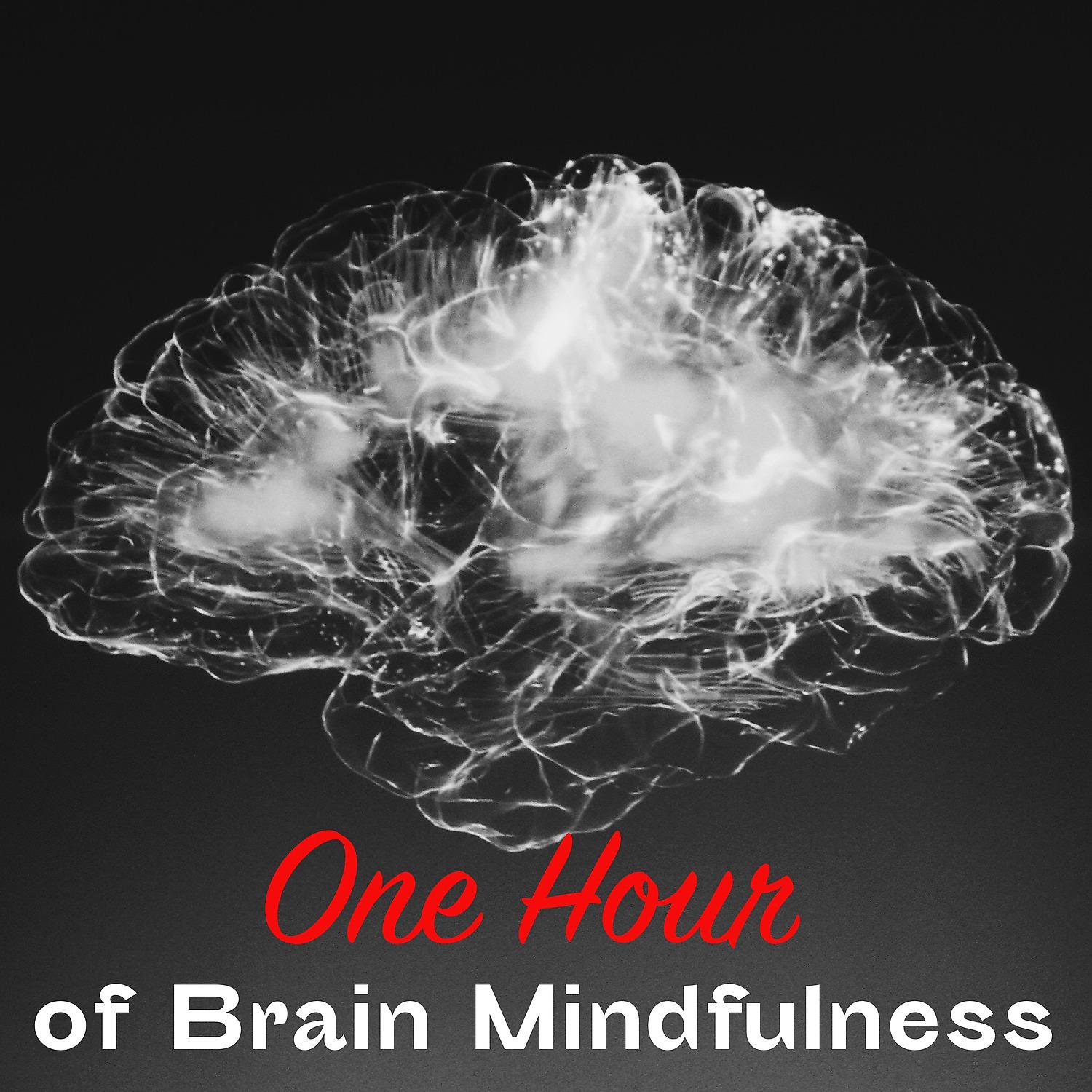 Постер альбома One Hour of Brain Mindfulness
