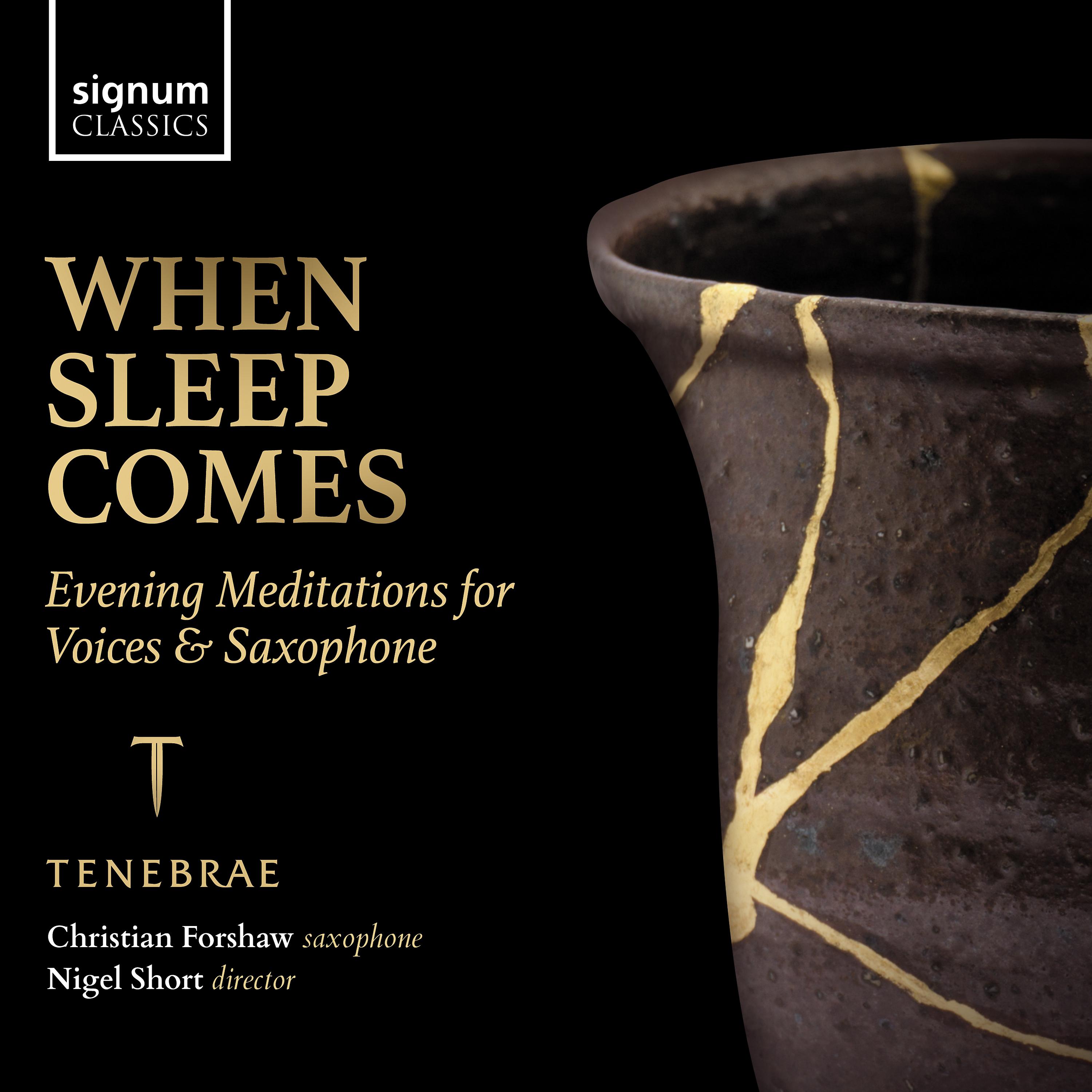 Постер альбома When Sleep Comes: Evening Meditations for Voices & Saxophone