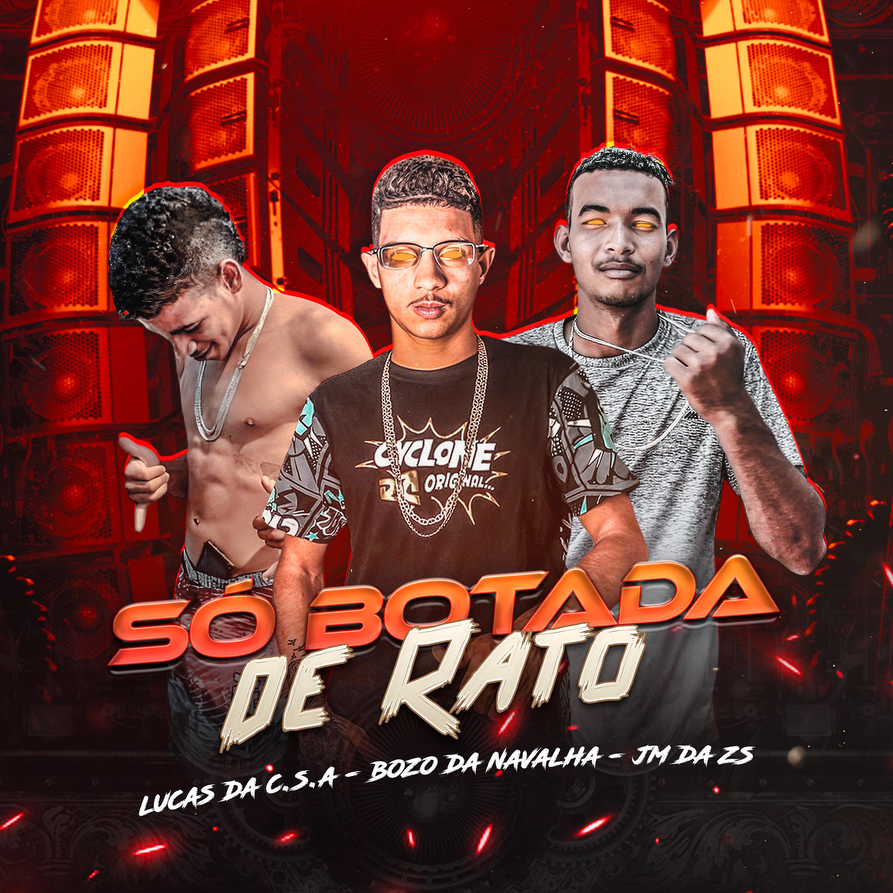 Постер альбома Só Botada de Rato
