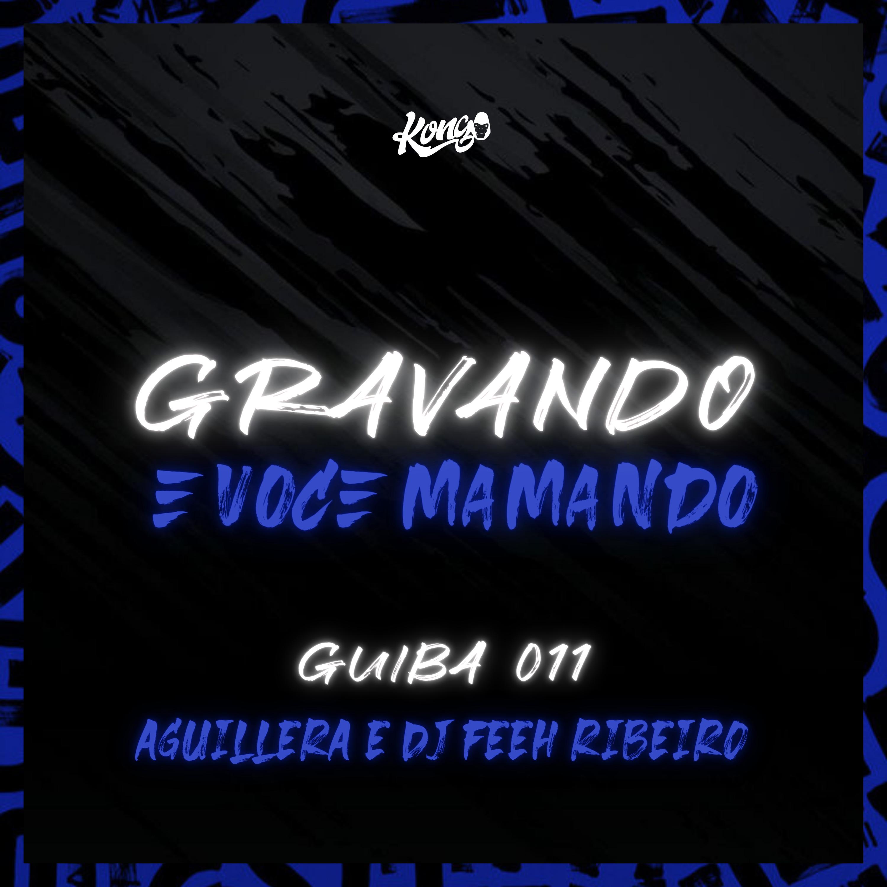 Постер альбома Gravando e Você Mamando