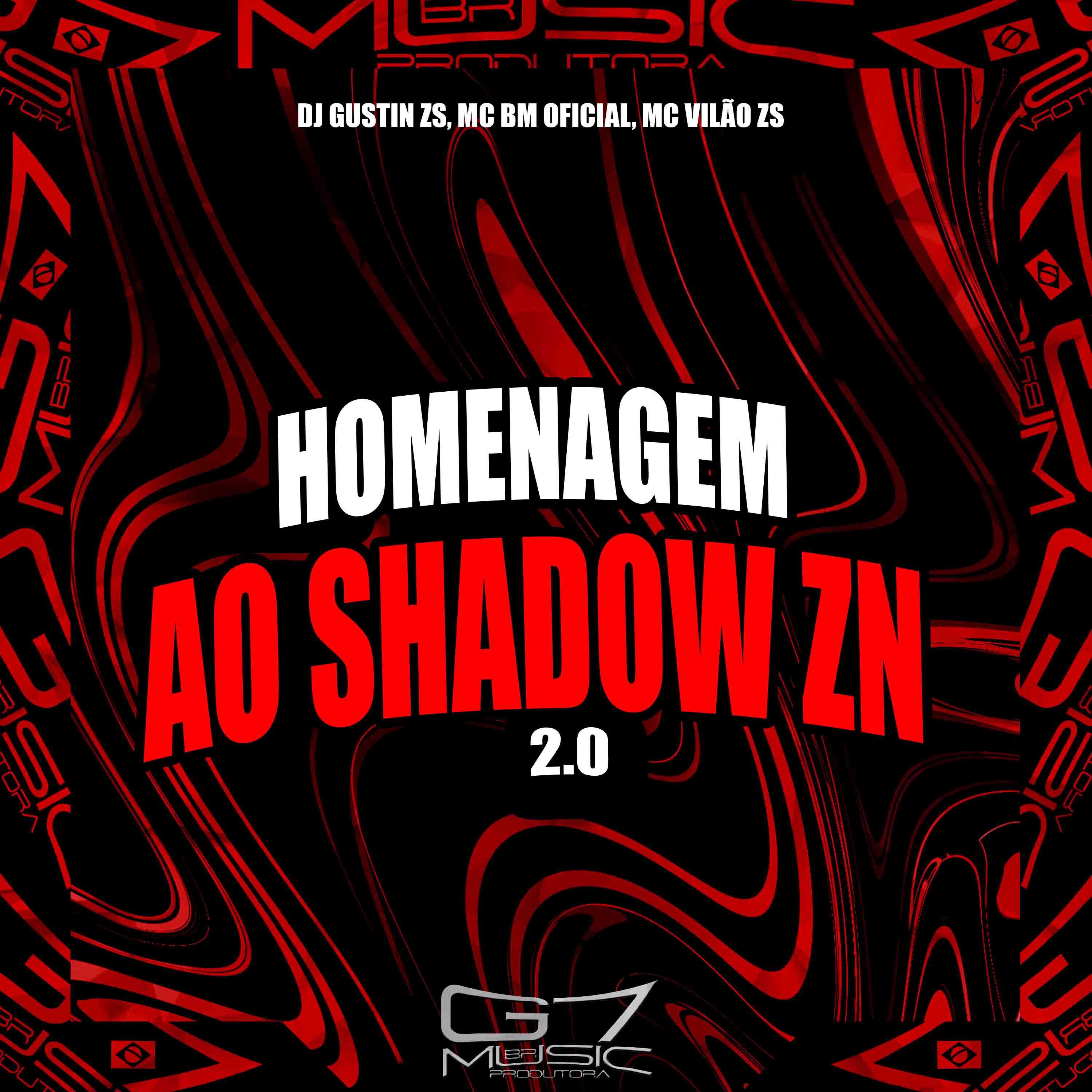 Постер альбома Homenagem ao Shadow Zn 2.0