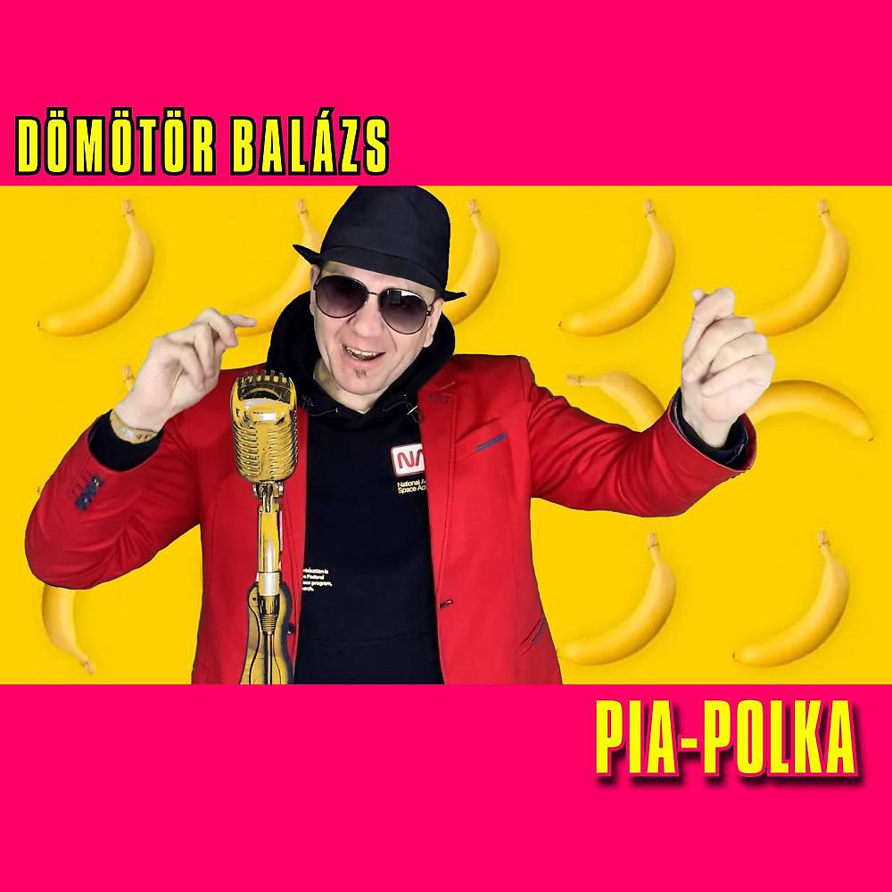 Постер альбома Pia-Polka (Radio Edit)