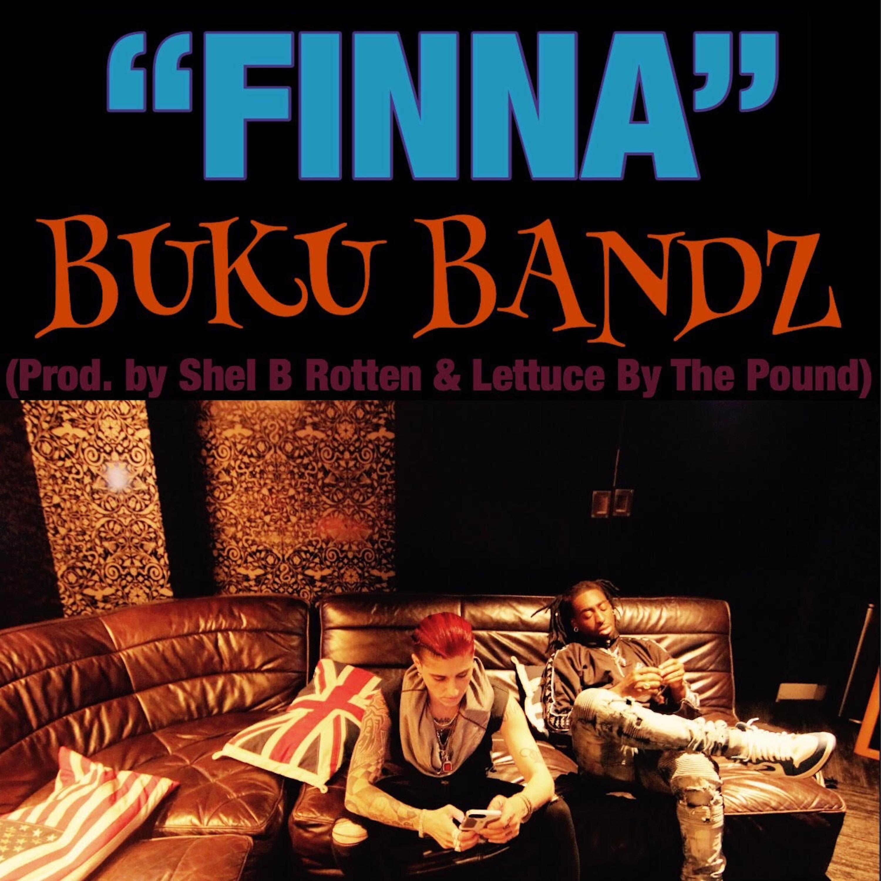 Постер альбома Finna