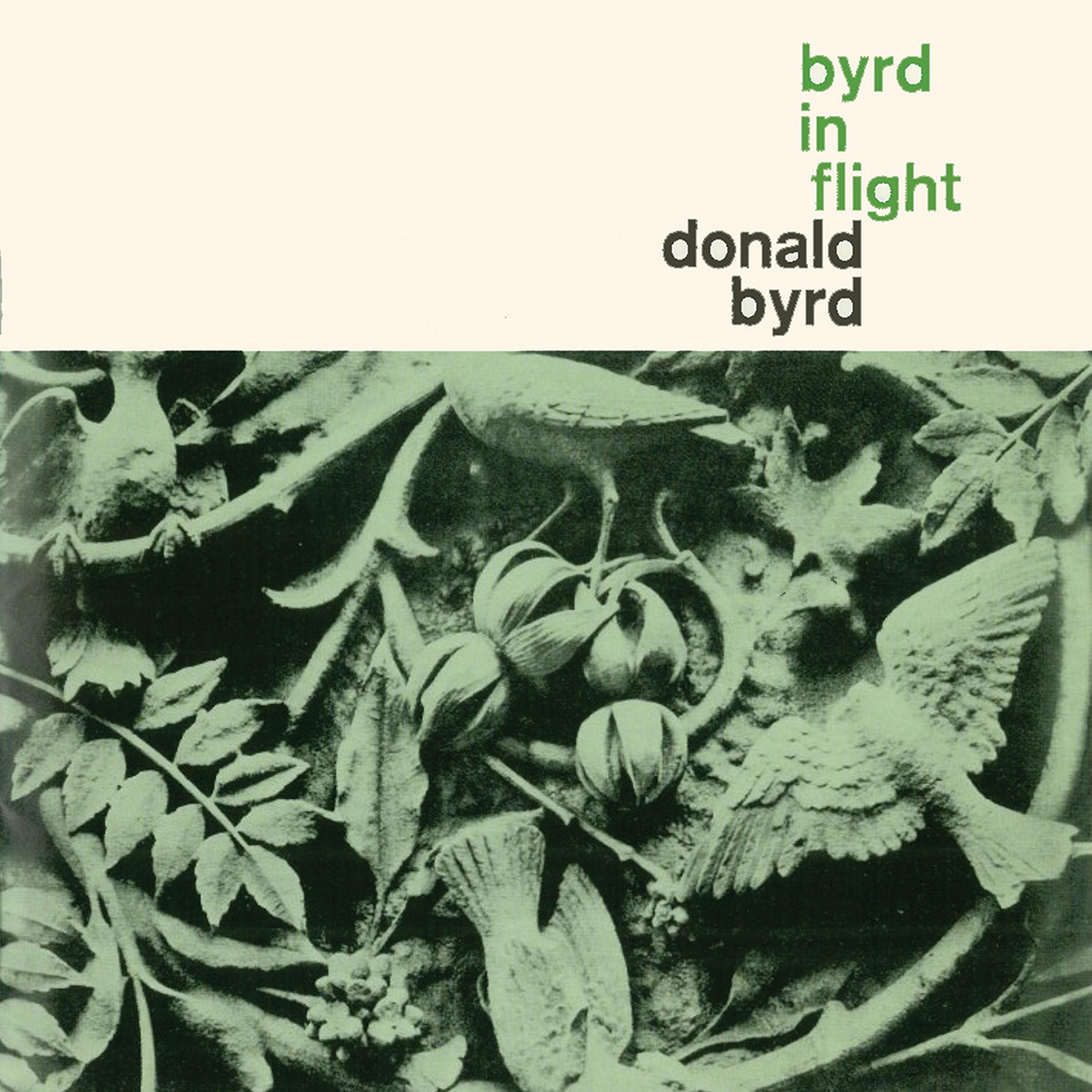 Постер альбома Byrd in Flight (Remastered)