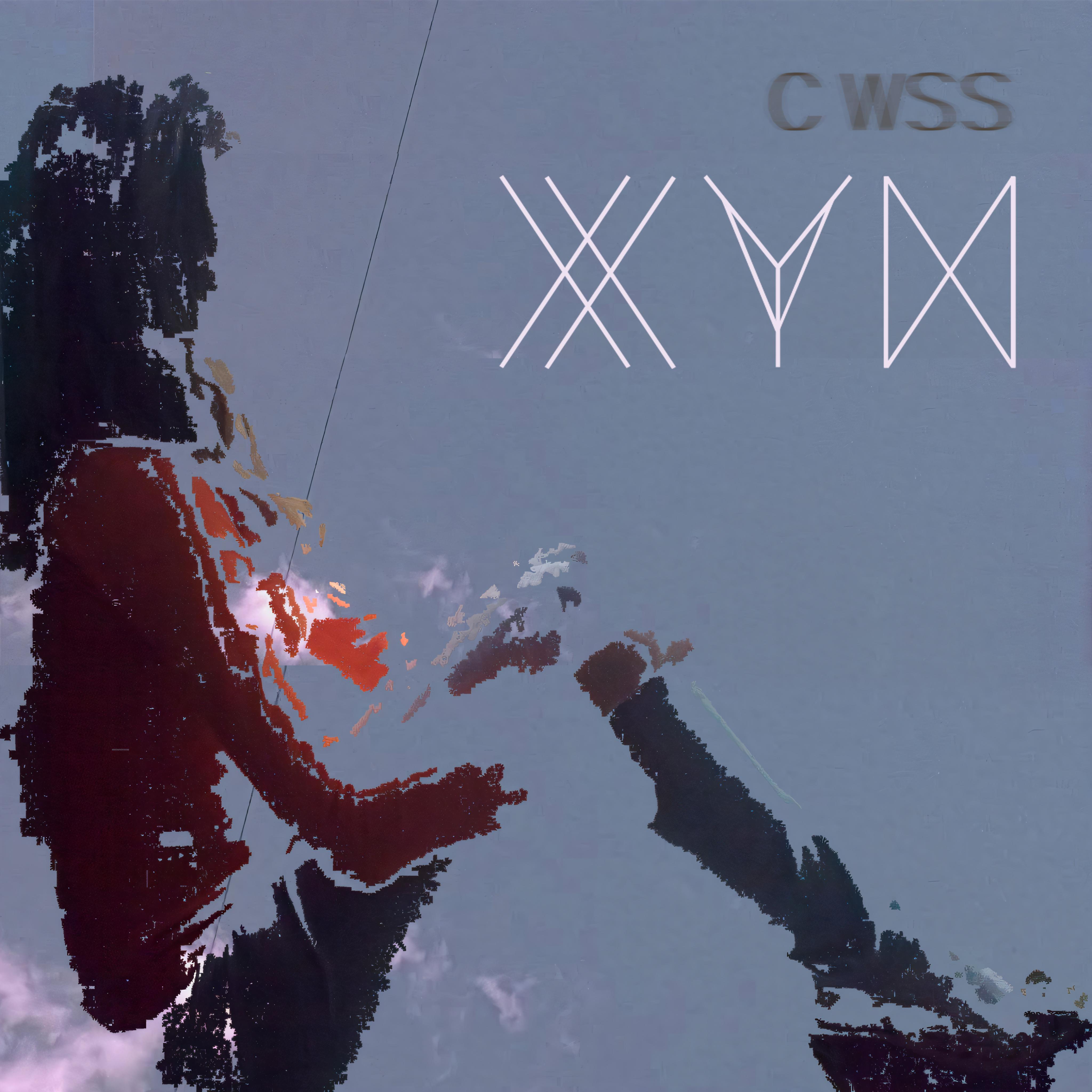 Постер альбома The Xyn