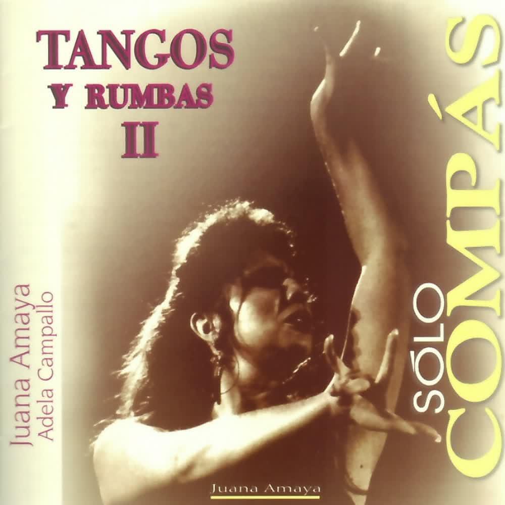 Постер альбома Sólo Compás - Tangos y Rumbas (Vol. 2)