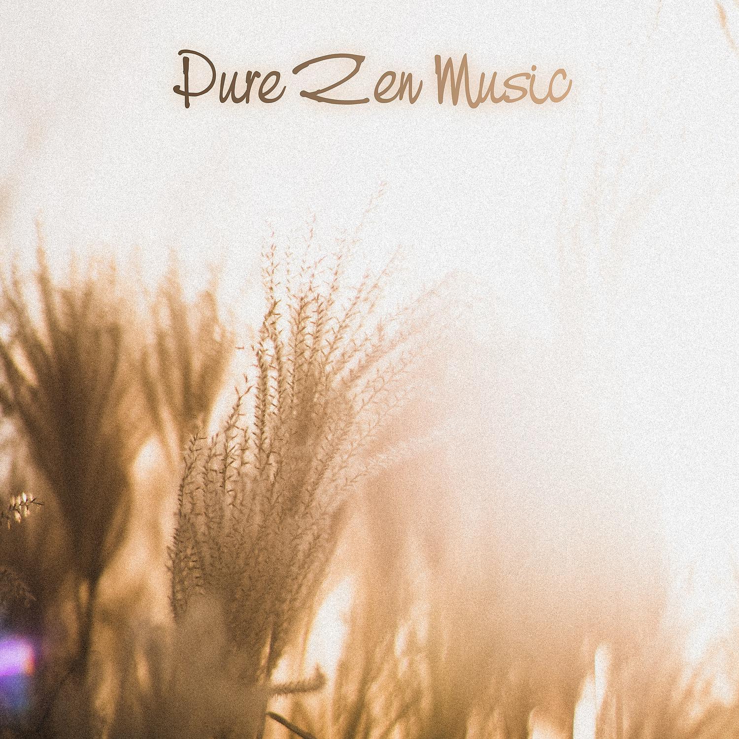 Постер альбома Pure Zen Music