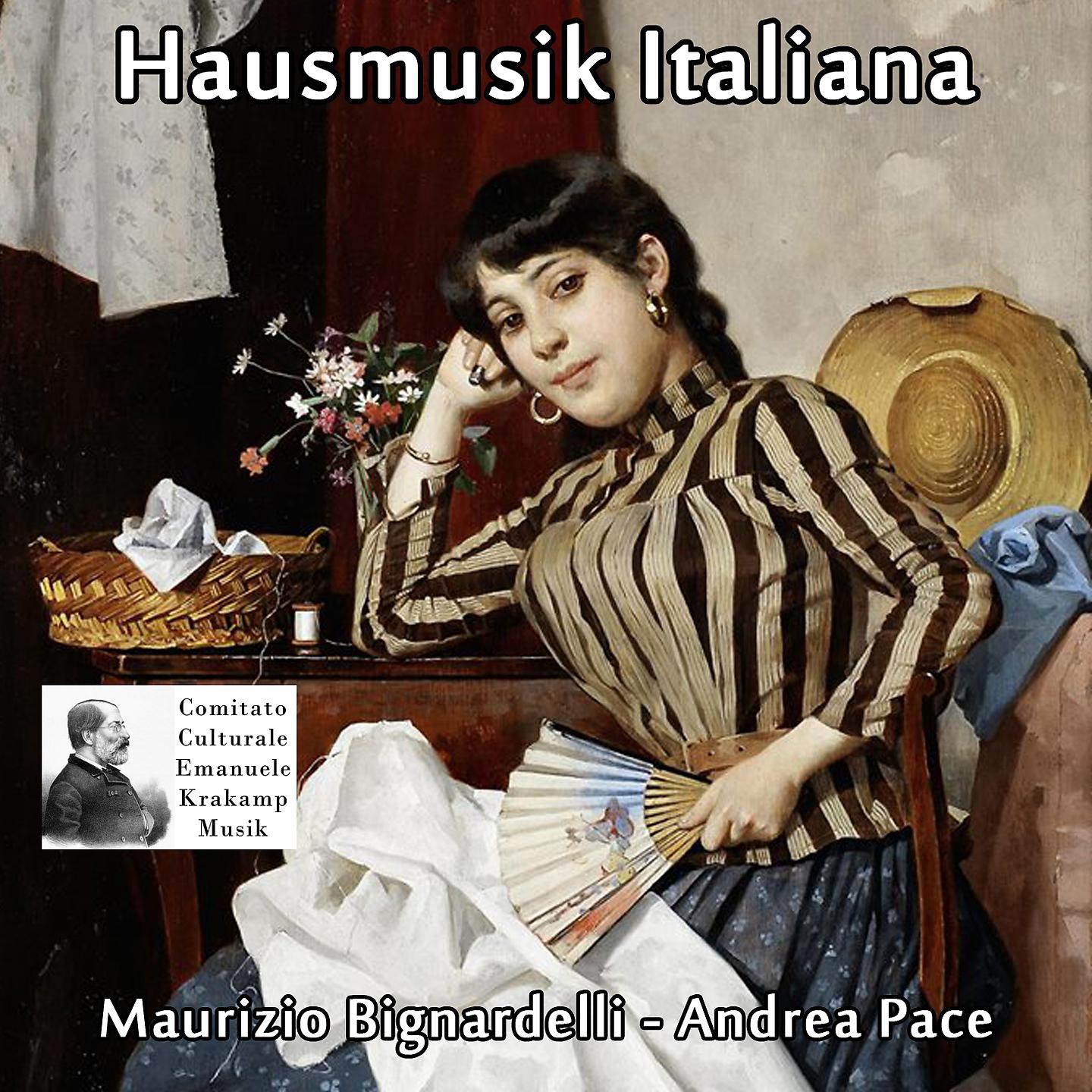 Постер альбома Hausmusik italiana