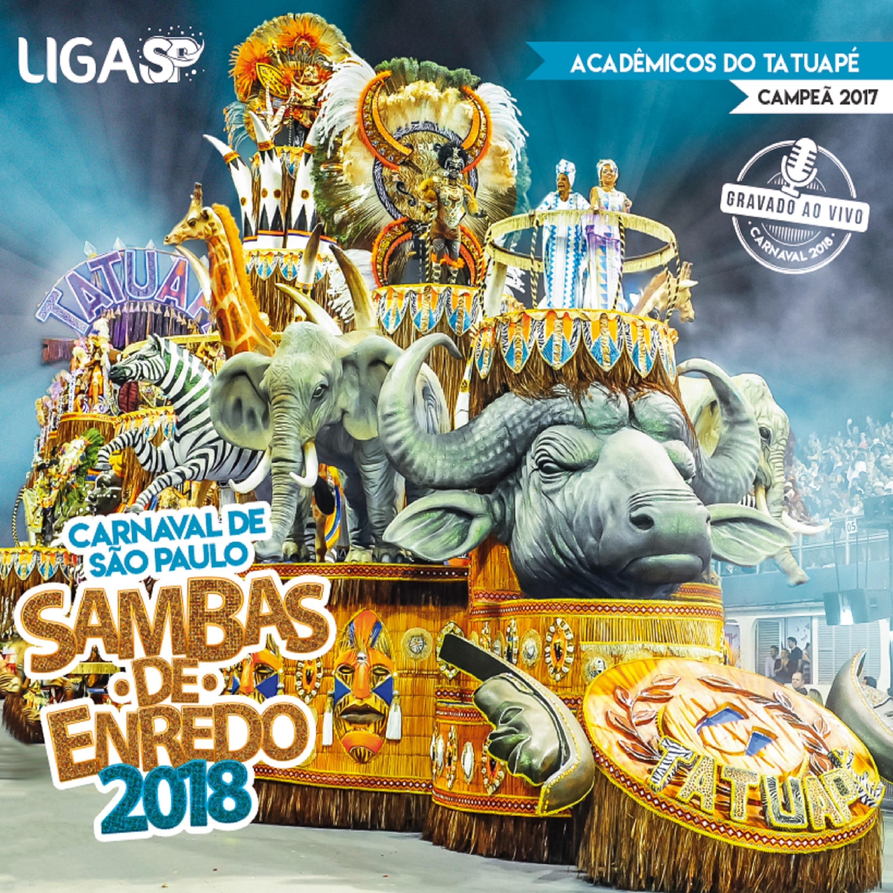 Постер альбома Carnaval Sp 2018 - Sambas de Enredo das Escolas de Samba de São Paulo (Ao Vivo)