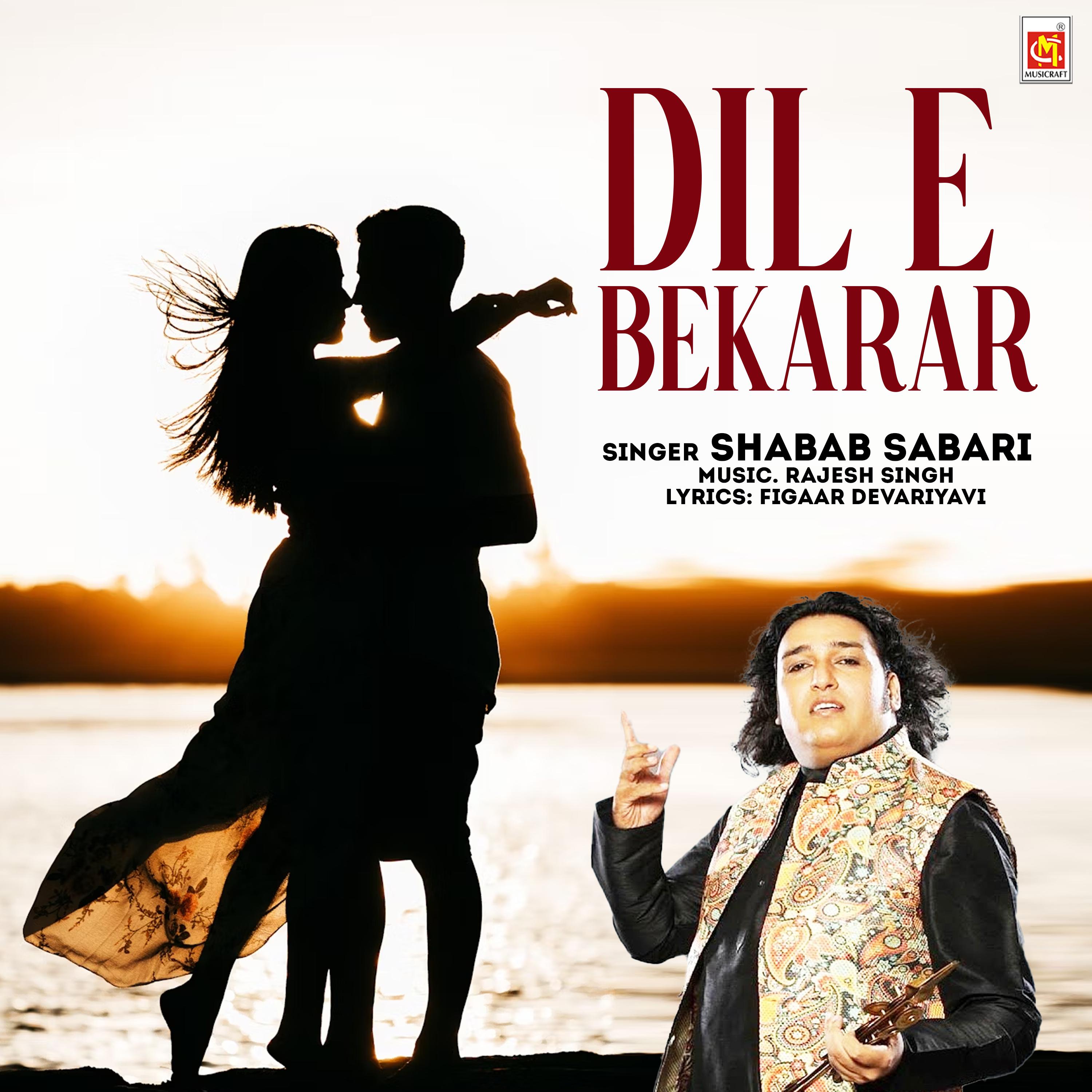 Постер альбома Dil E Bekarar