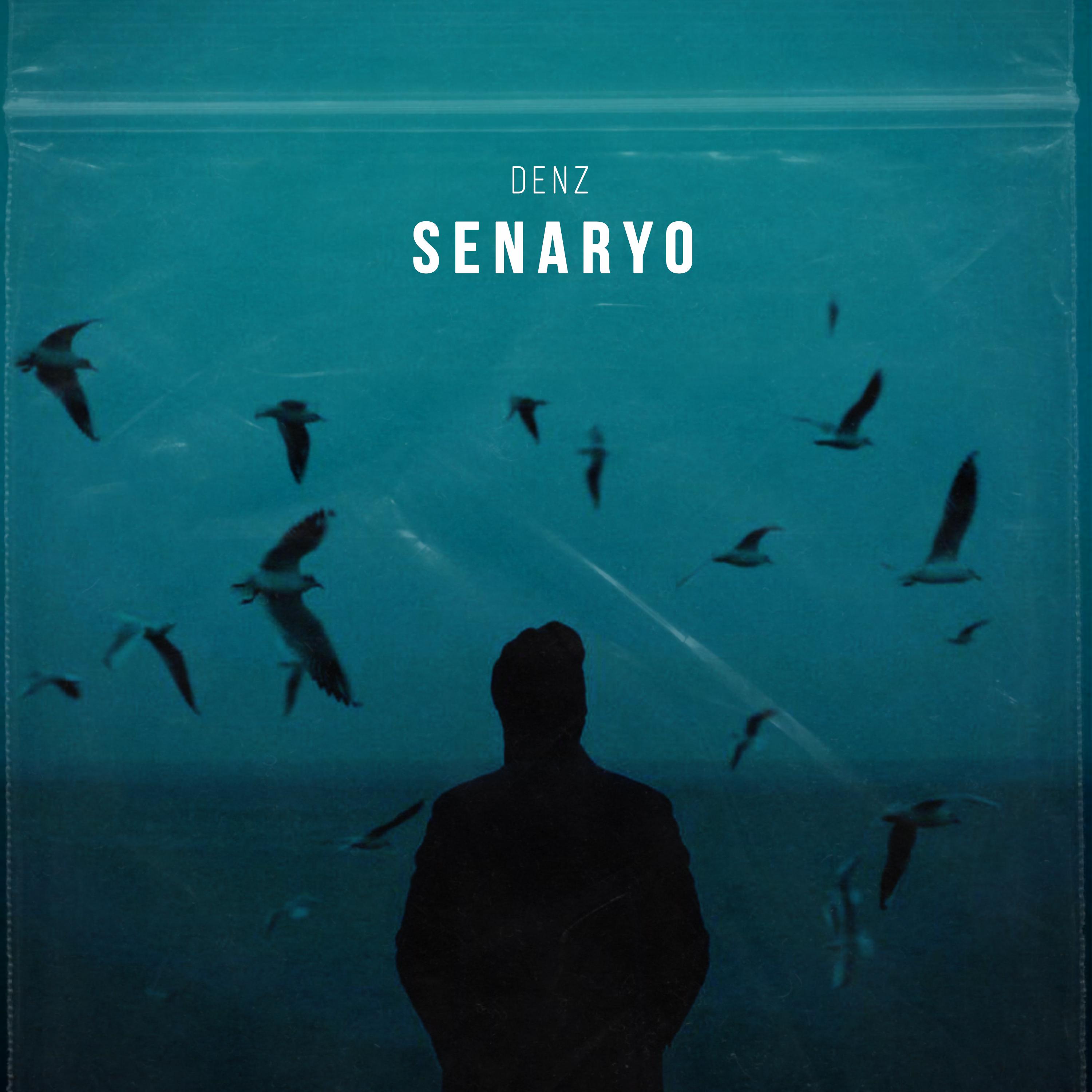 Постер альбома SENARYO