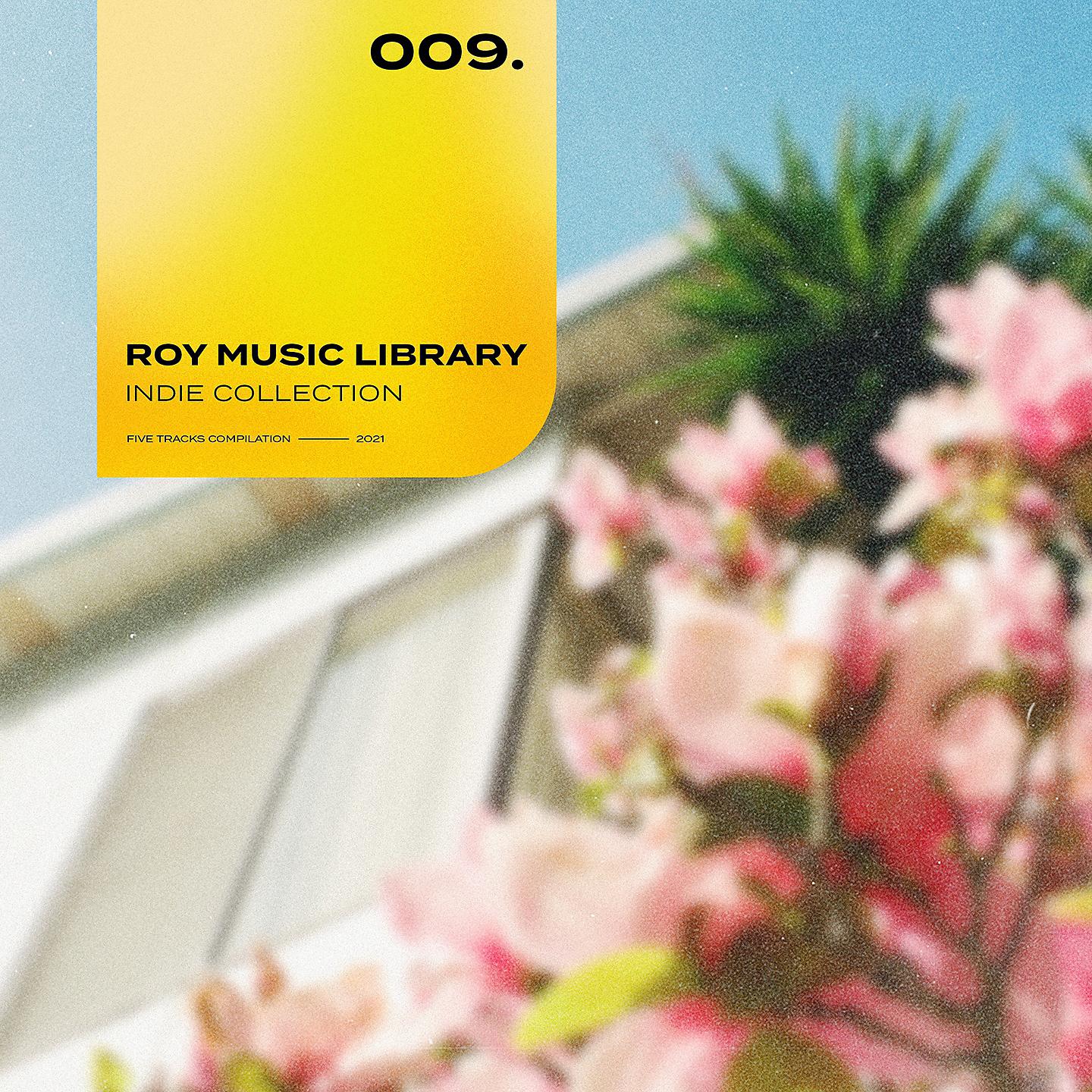Постер альбома Roy Music Library - Indie Collection 009