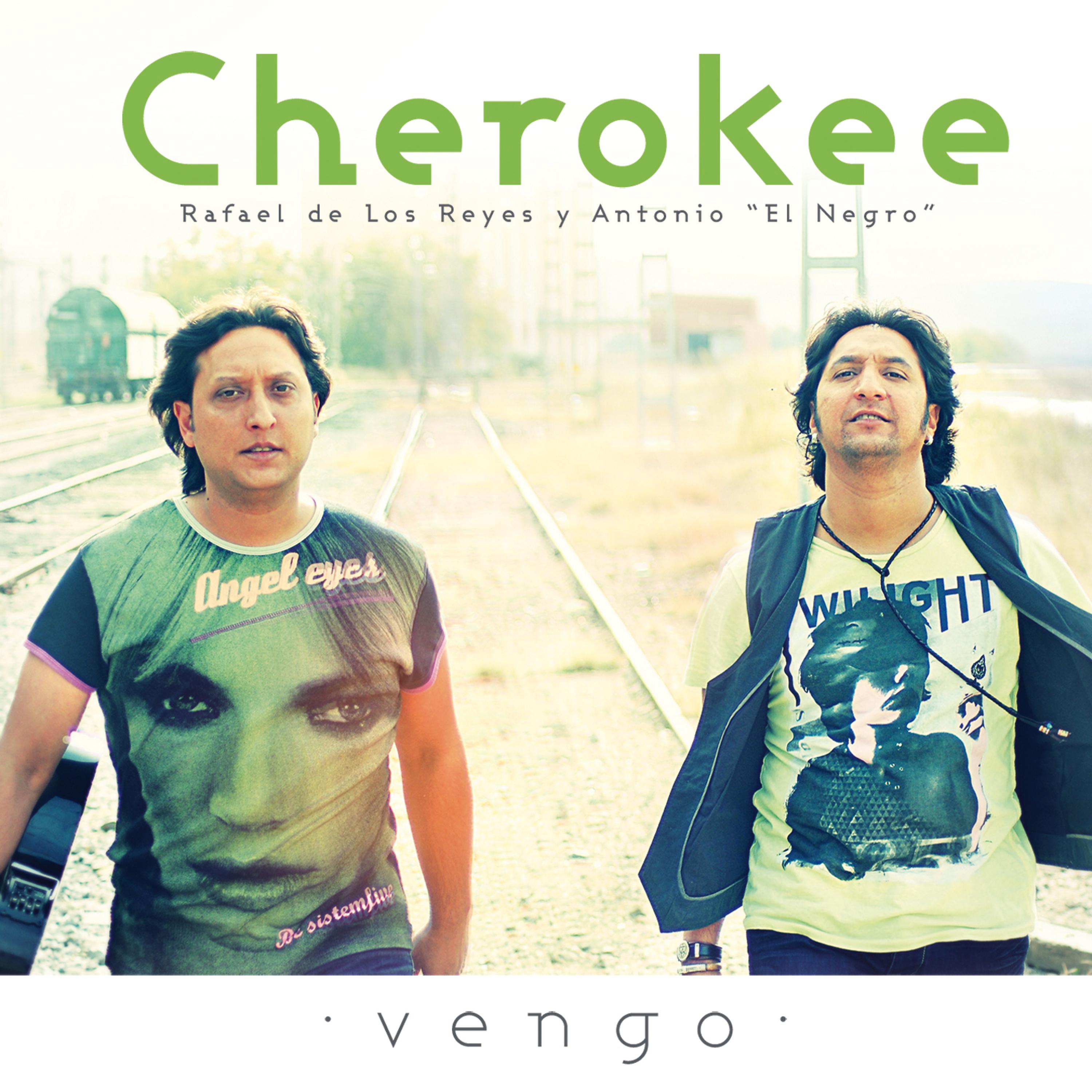 Постер альбома Vengo