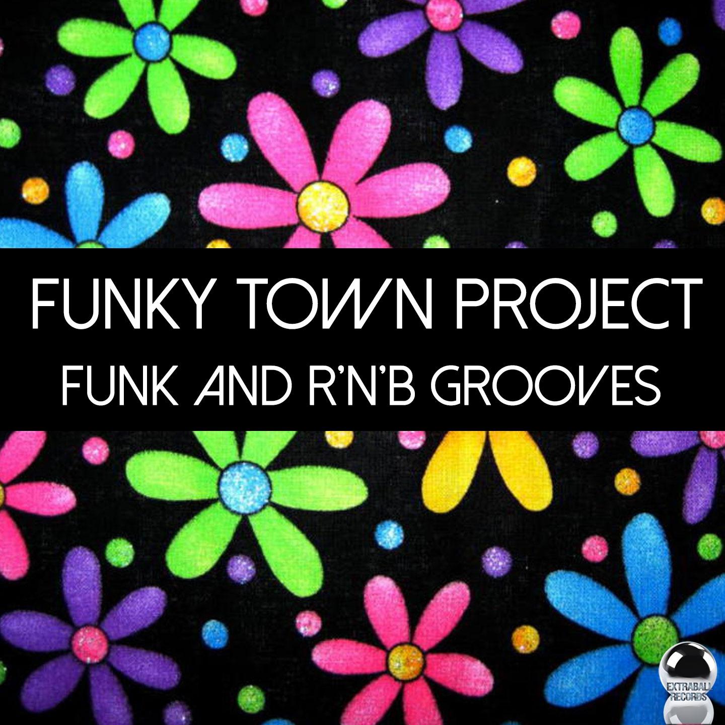 Постер альбома Funky Town Project