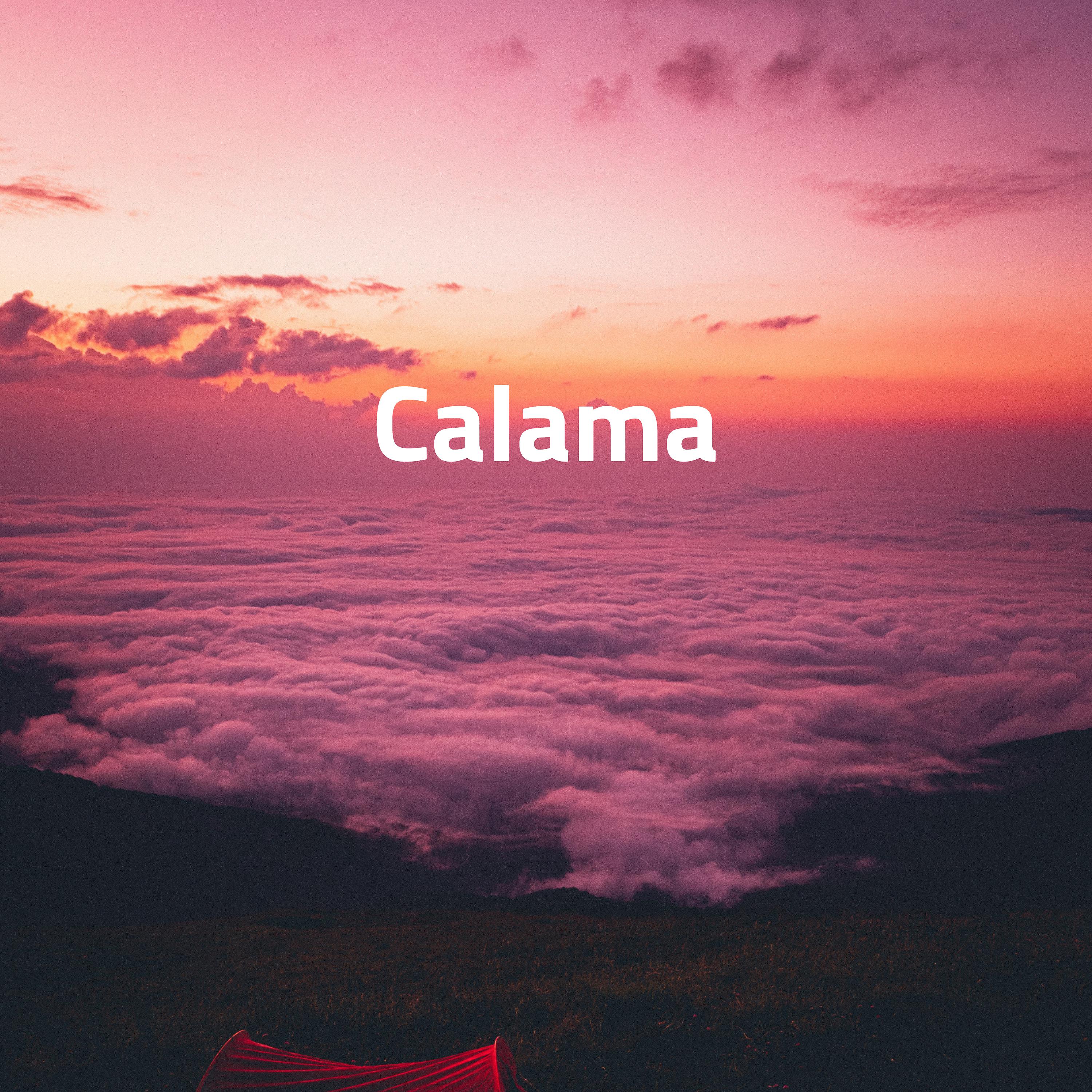 Постер альбома Calama