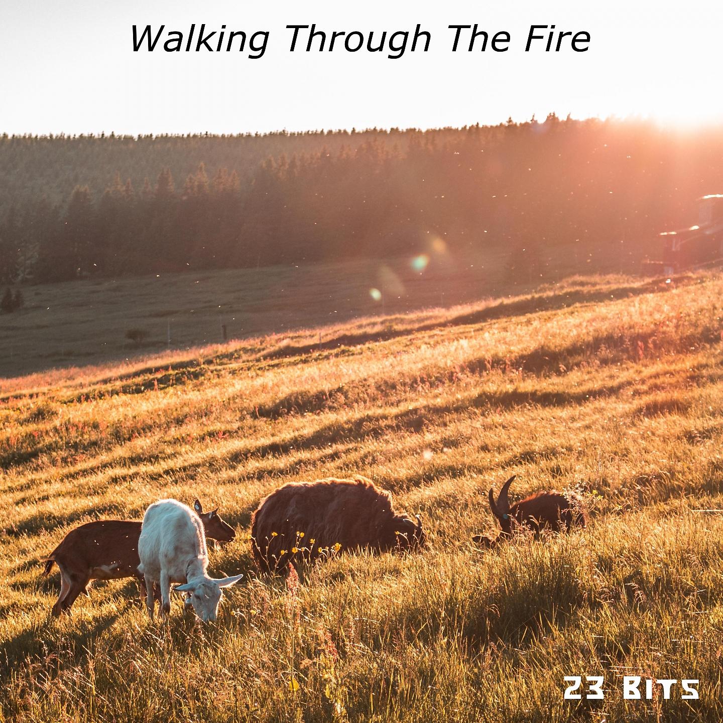 Постер альбома Walking Through The Fire