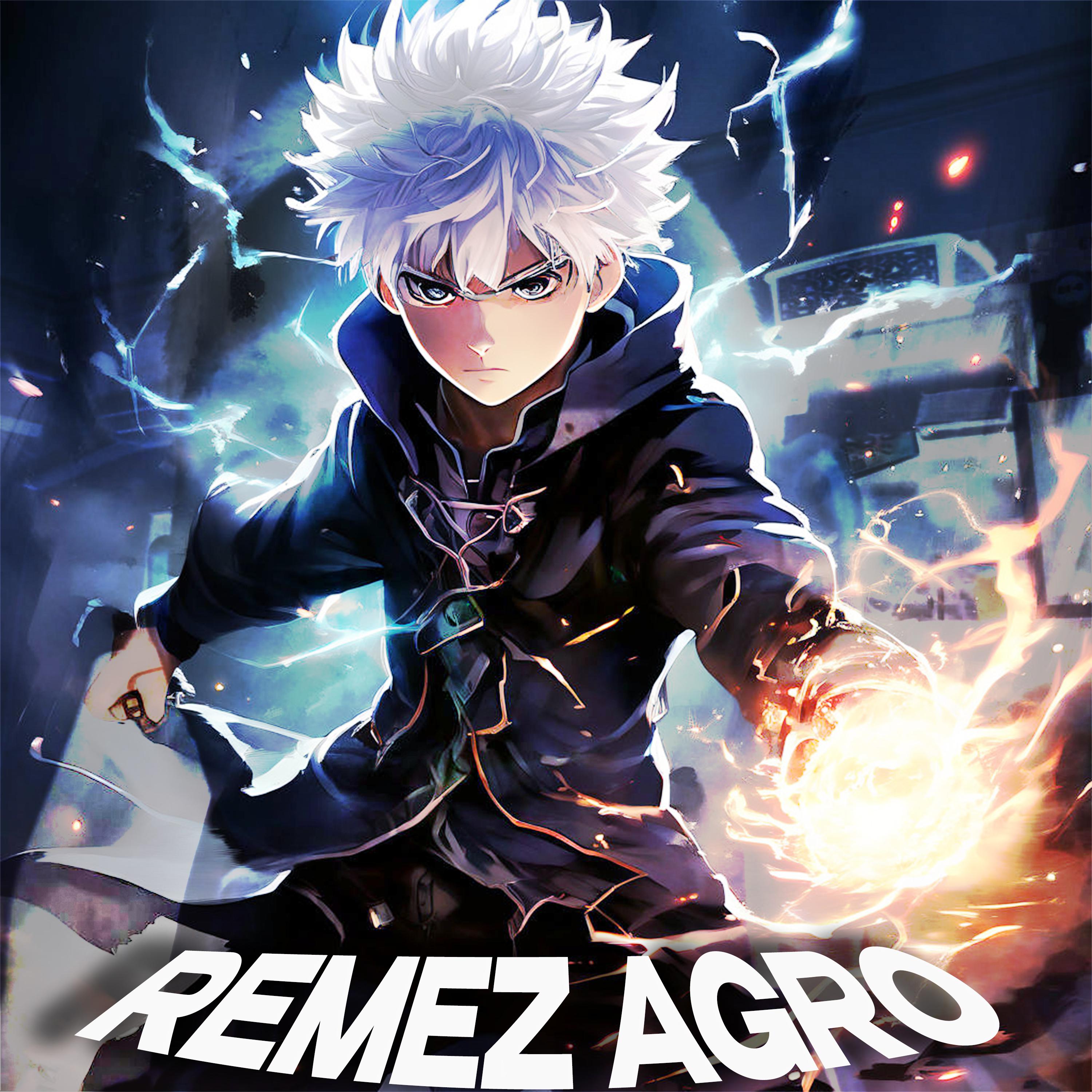 Постер альбома Remez Agro