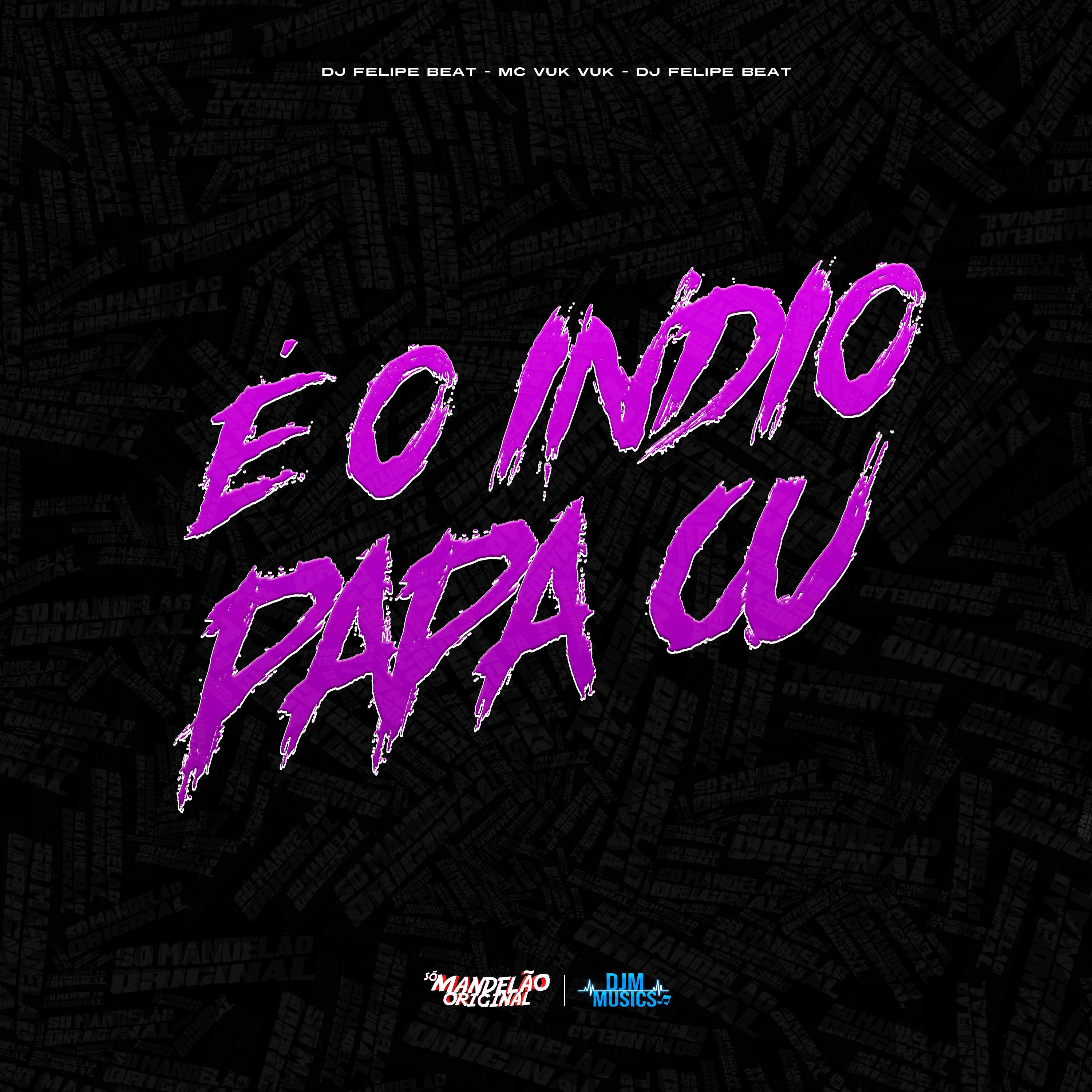 Постер альбома Dj Felipe Beat É o Indio Papa Cu