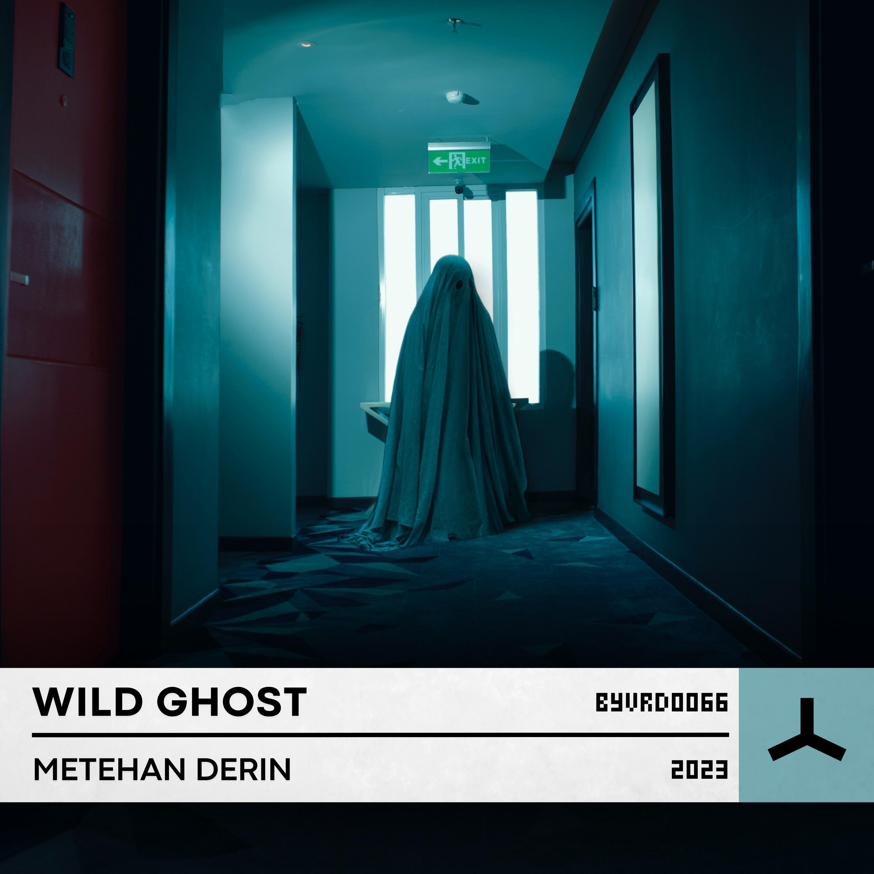 Постер альбома Wild Ghost