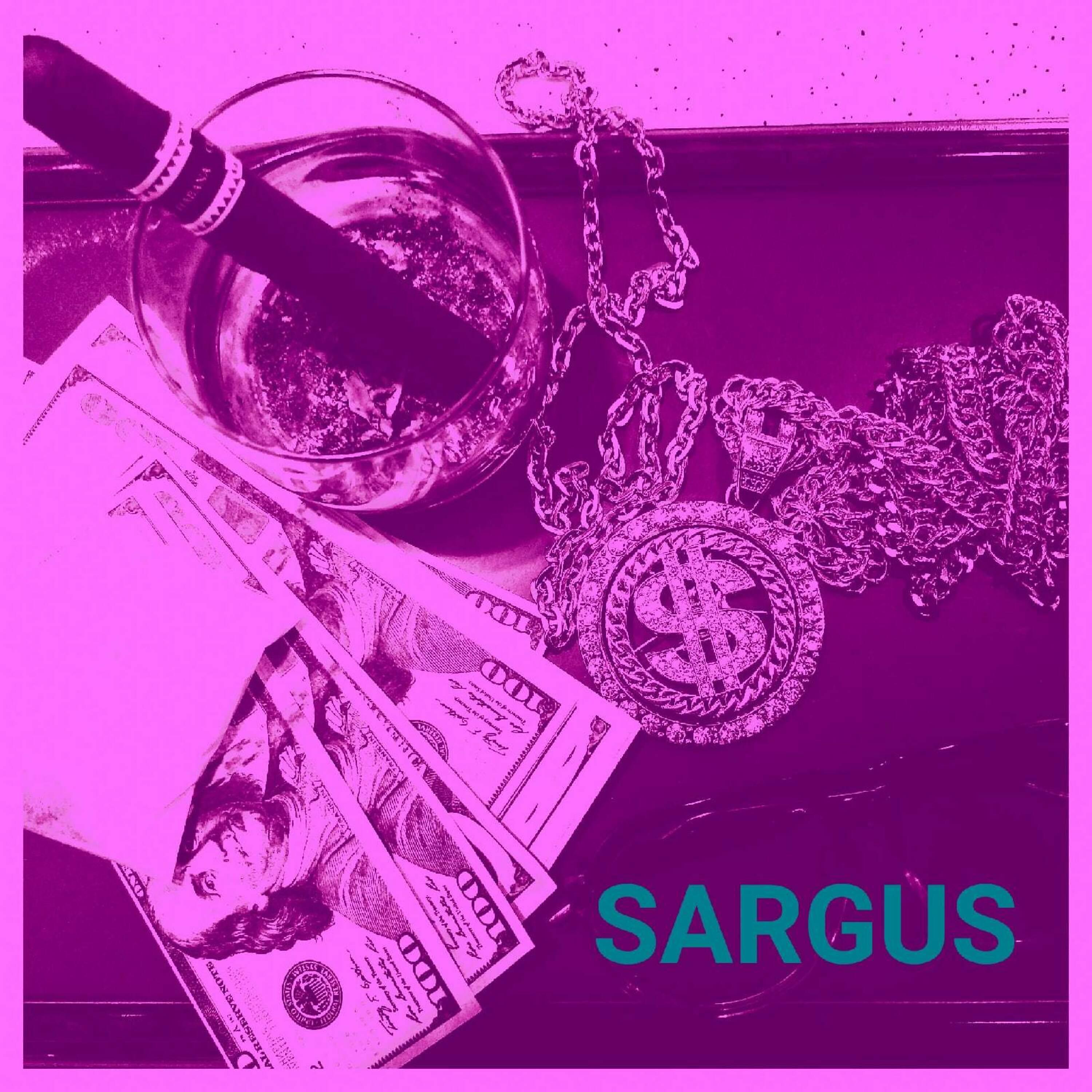 Постер альбома Саргус 20