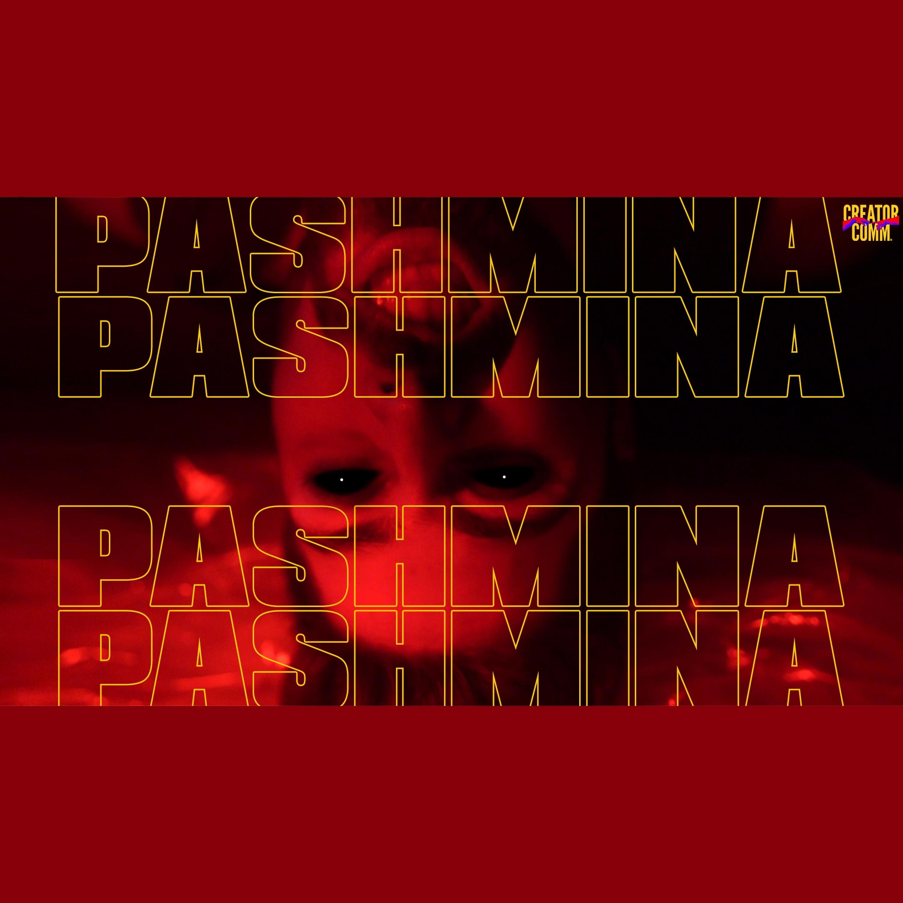 Постер альбома Pashmina