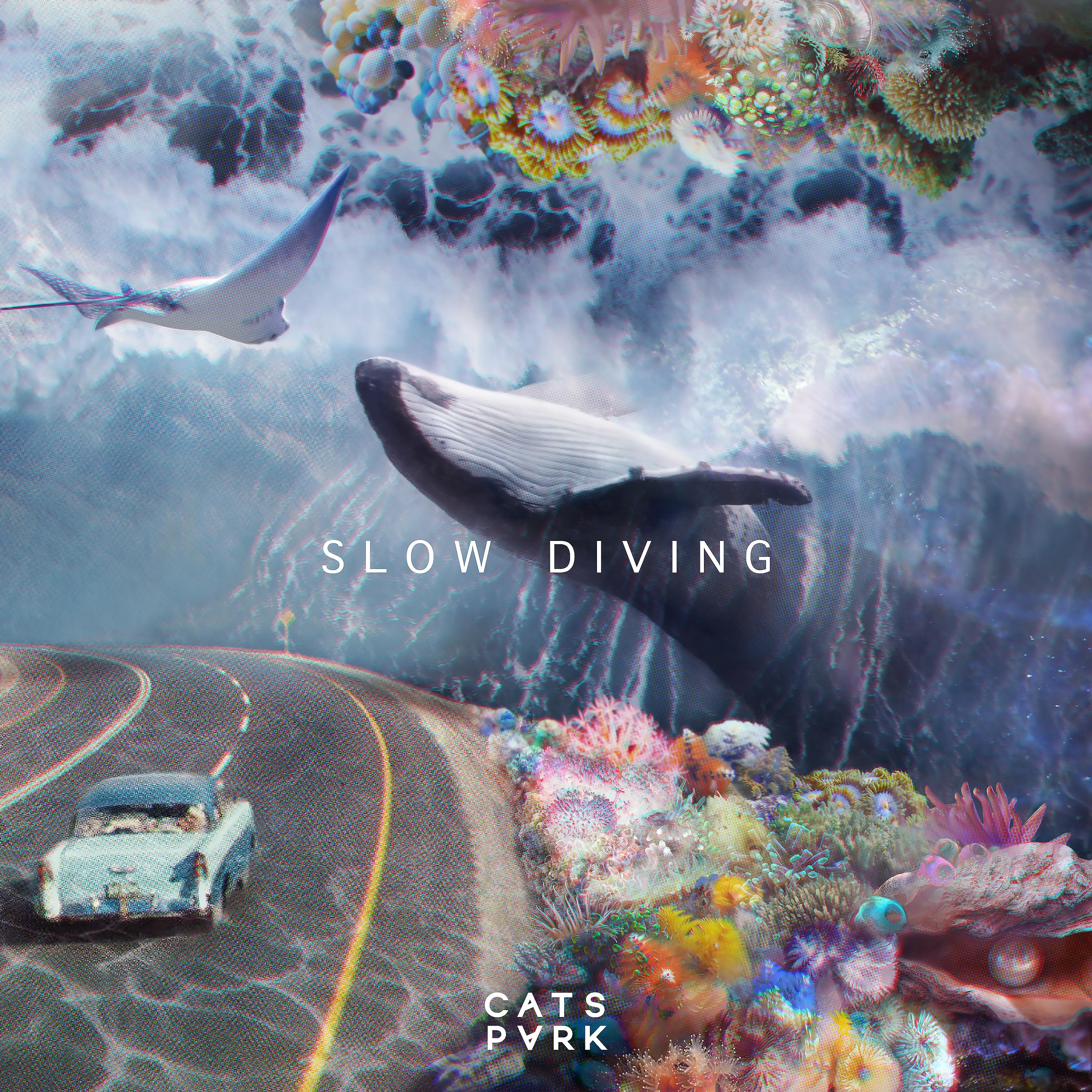 Постер альбома Slow Diving