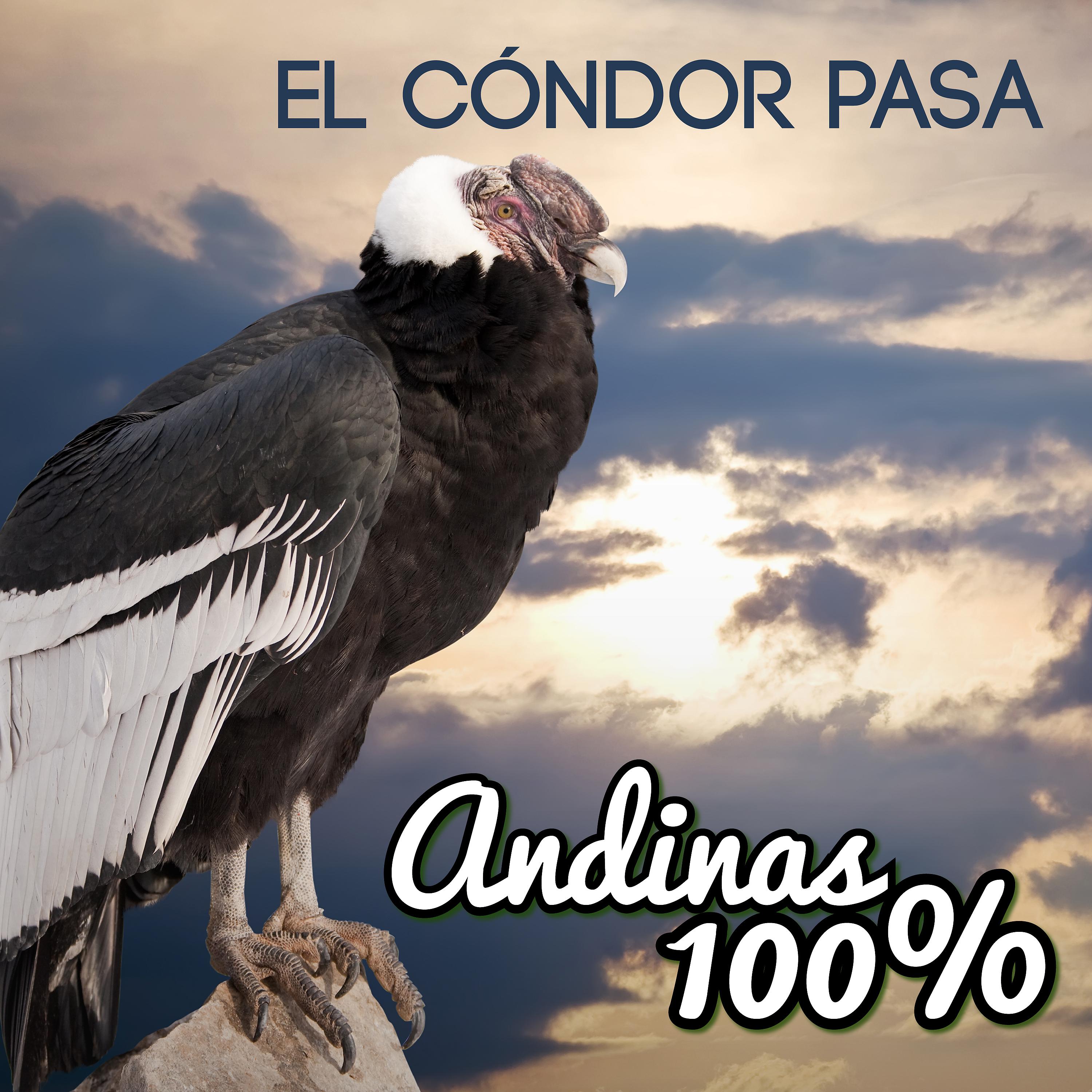 Постер альбома Andinas 100% - el Condor Pasa