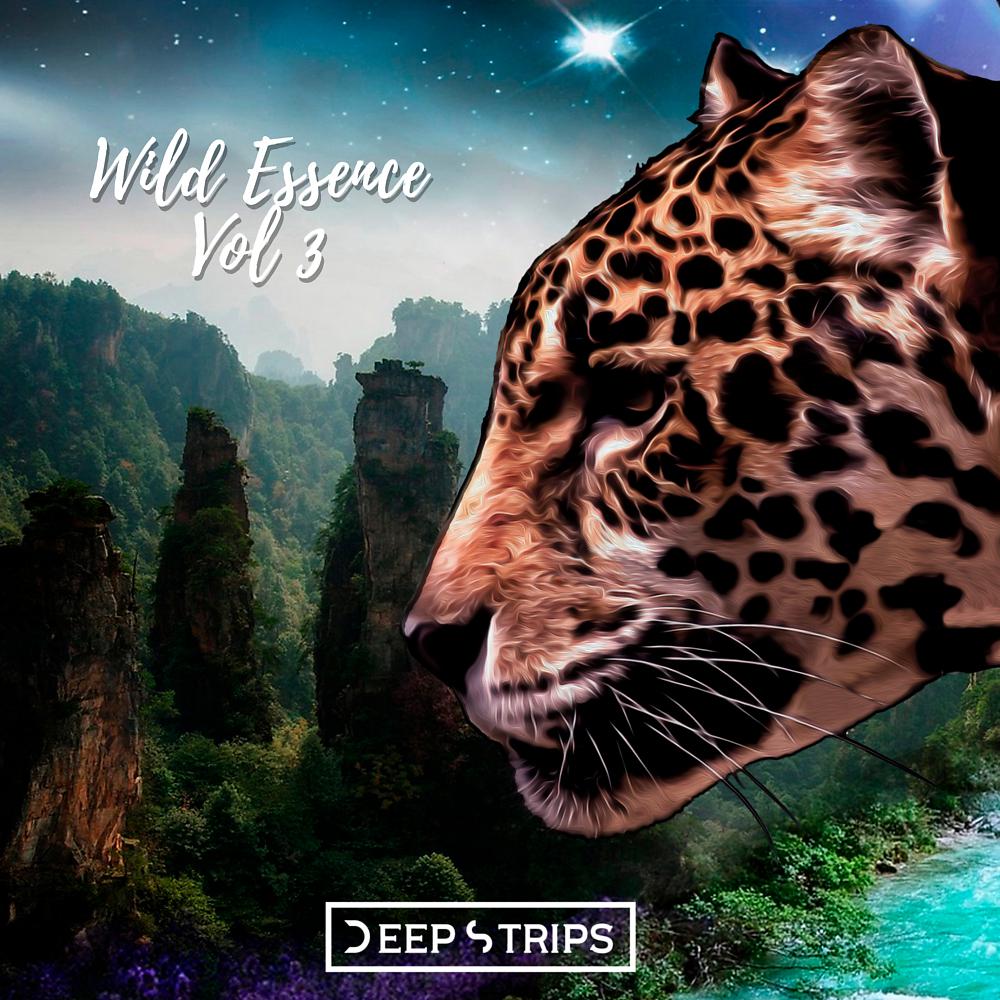Постер альбома Wild Essence Vol III