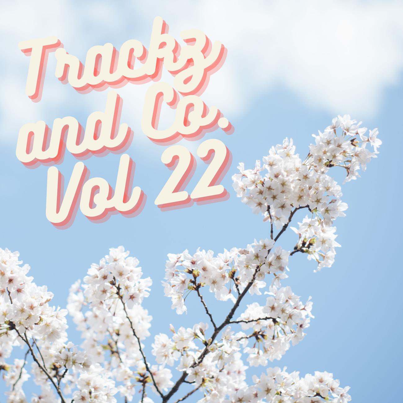 Постер альбома Trackz and Co. Vol 22