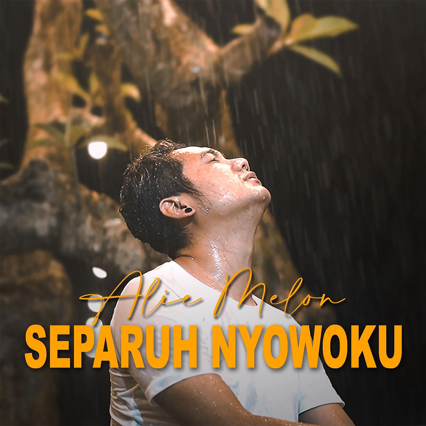 Постер альбома Separuh Nyowoku