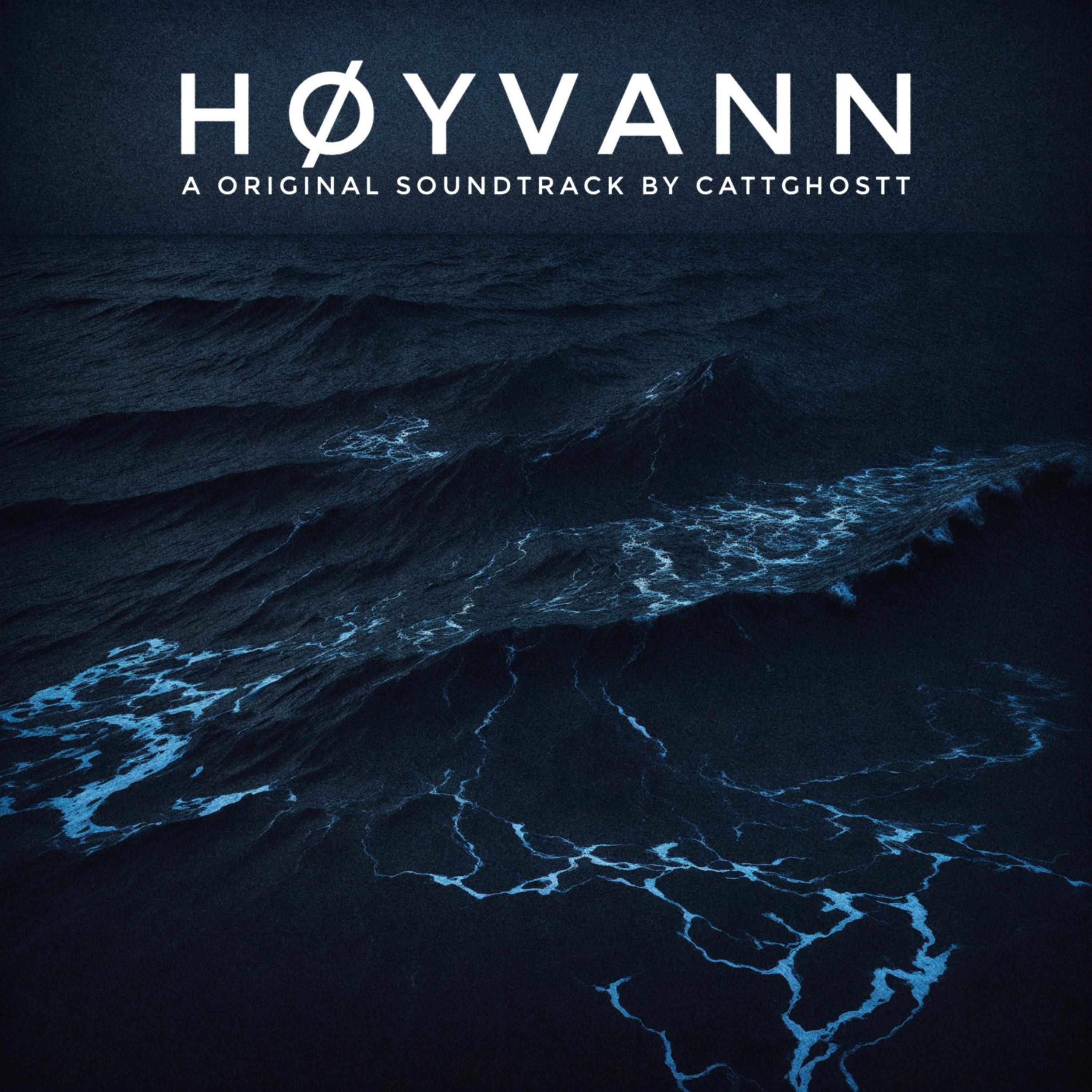 Постер альбома Høyvann